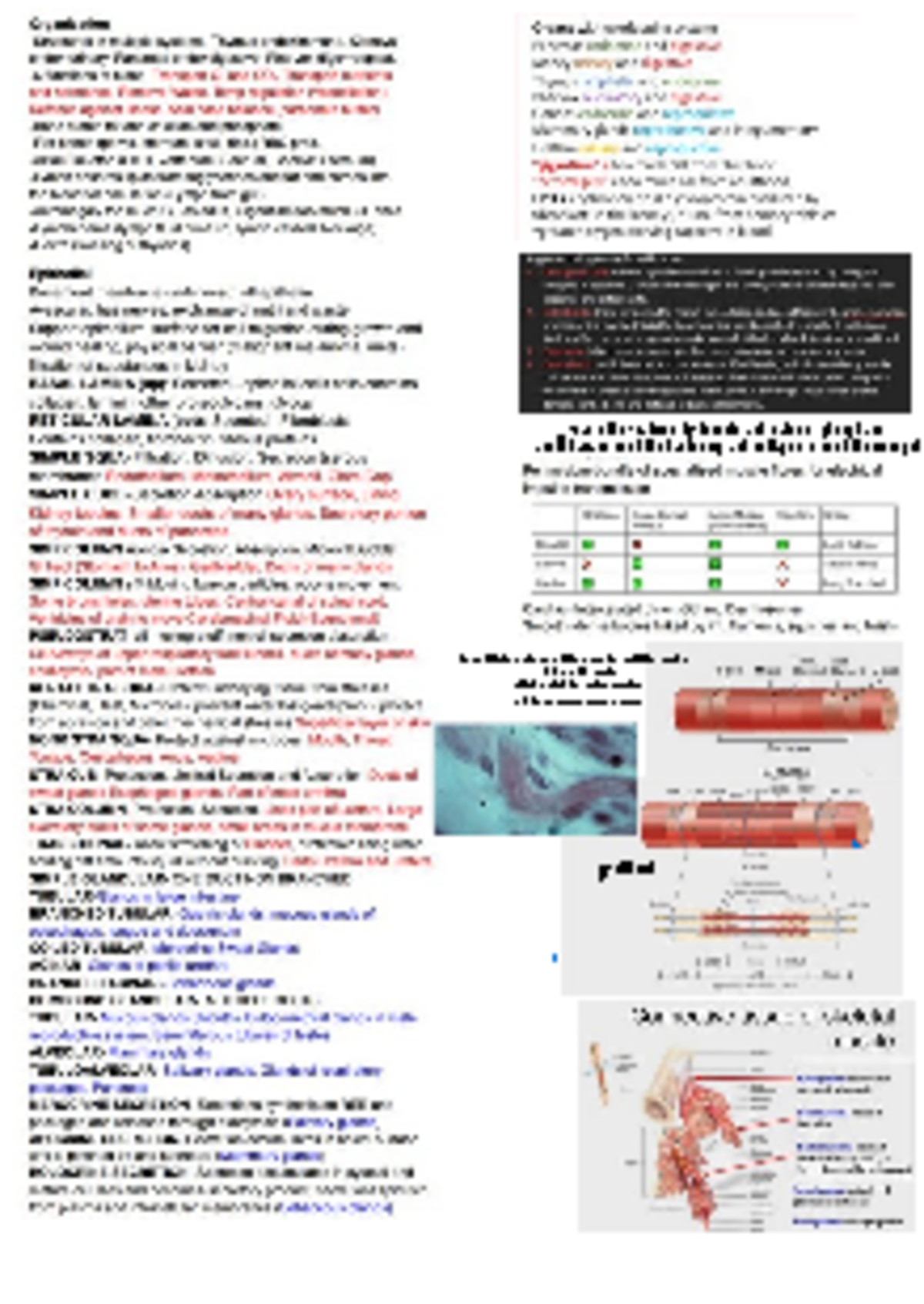 cheat sheet for midterm - Biology for Biomedical Science: Cellular ...