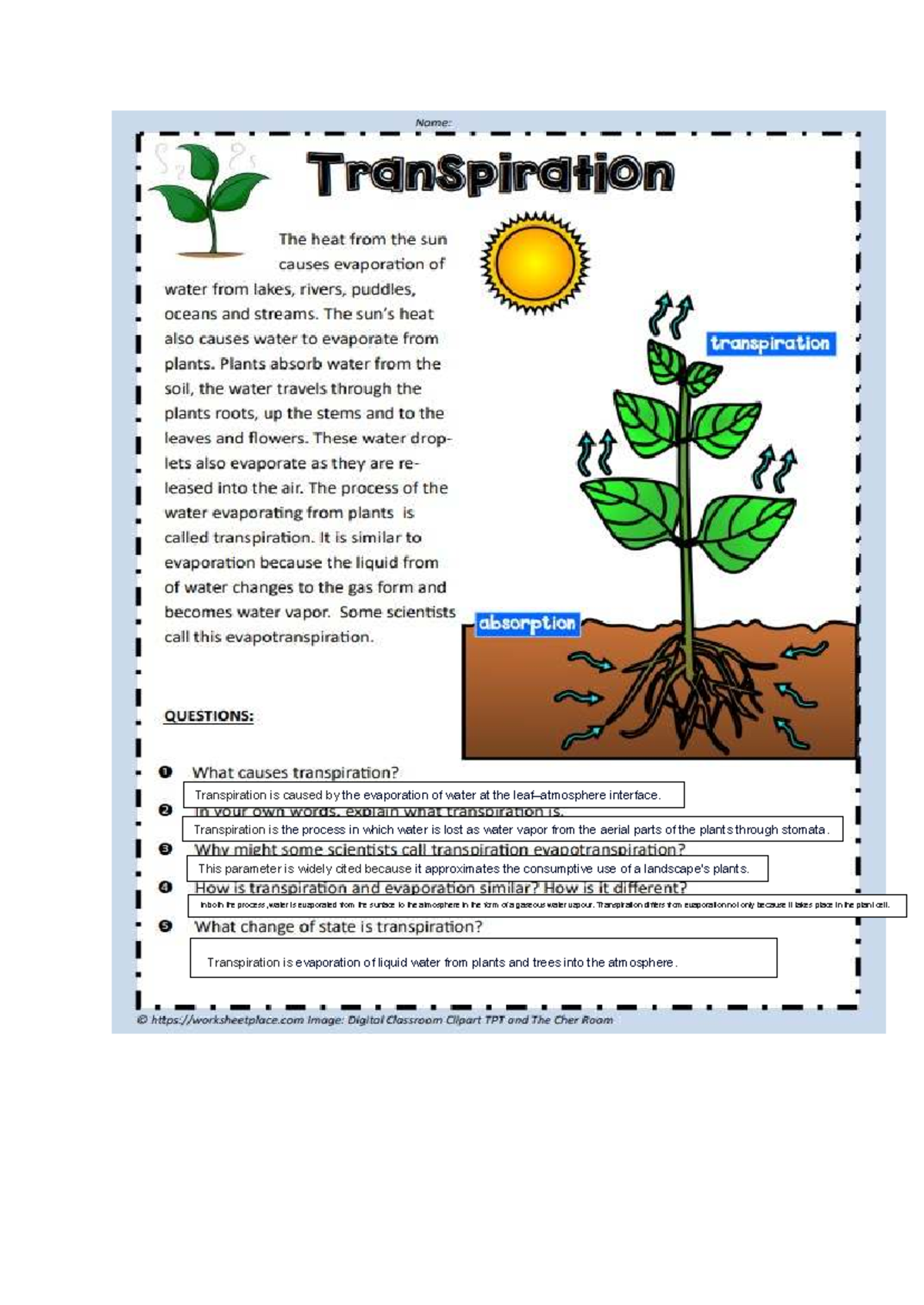 Science hw - wwwwwwwwww - Transpiration is caused by the evaporation of ...