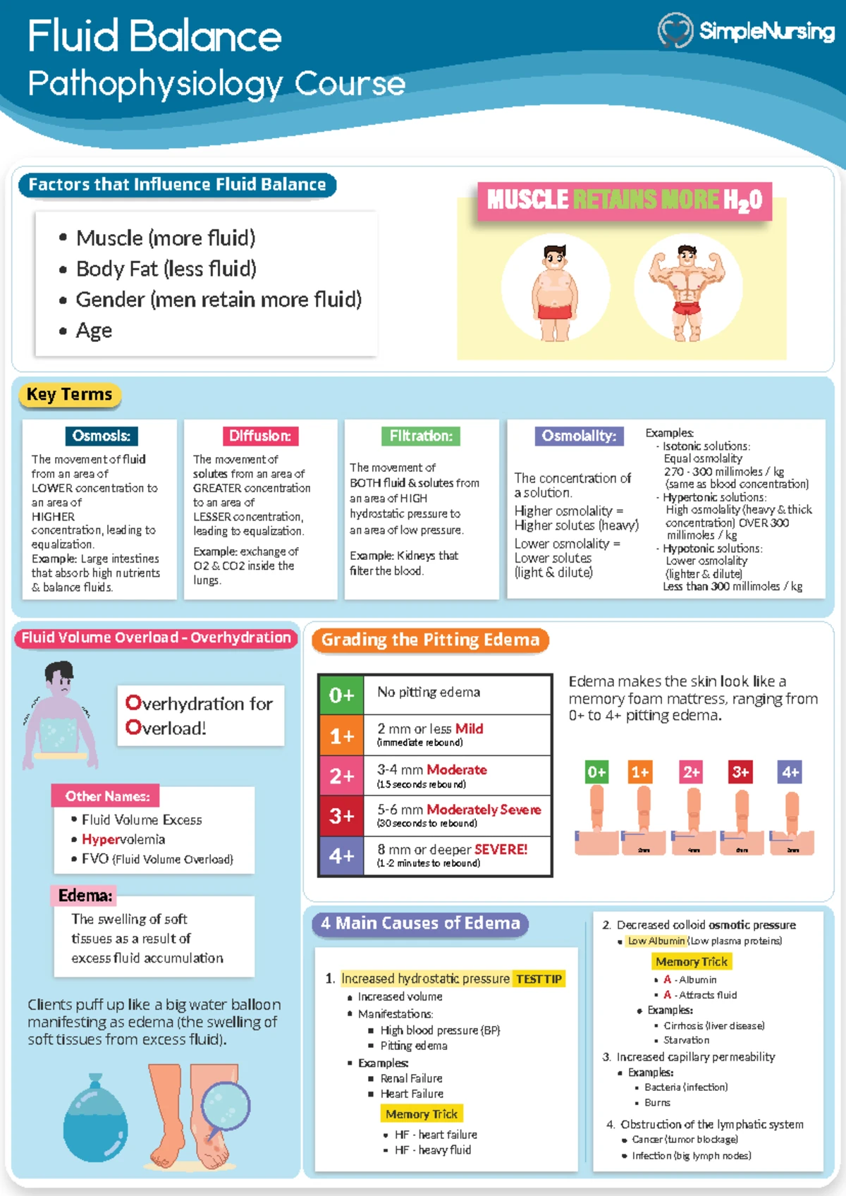 Burns Pathophysiology: Types, Causes & Minor Care Tips - Studocu