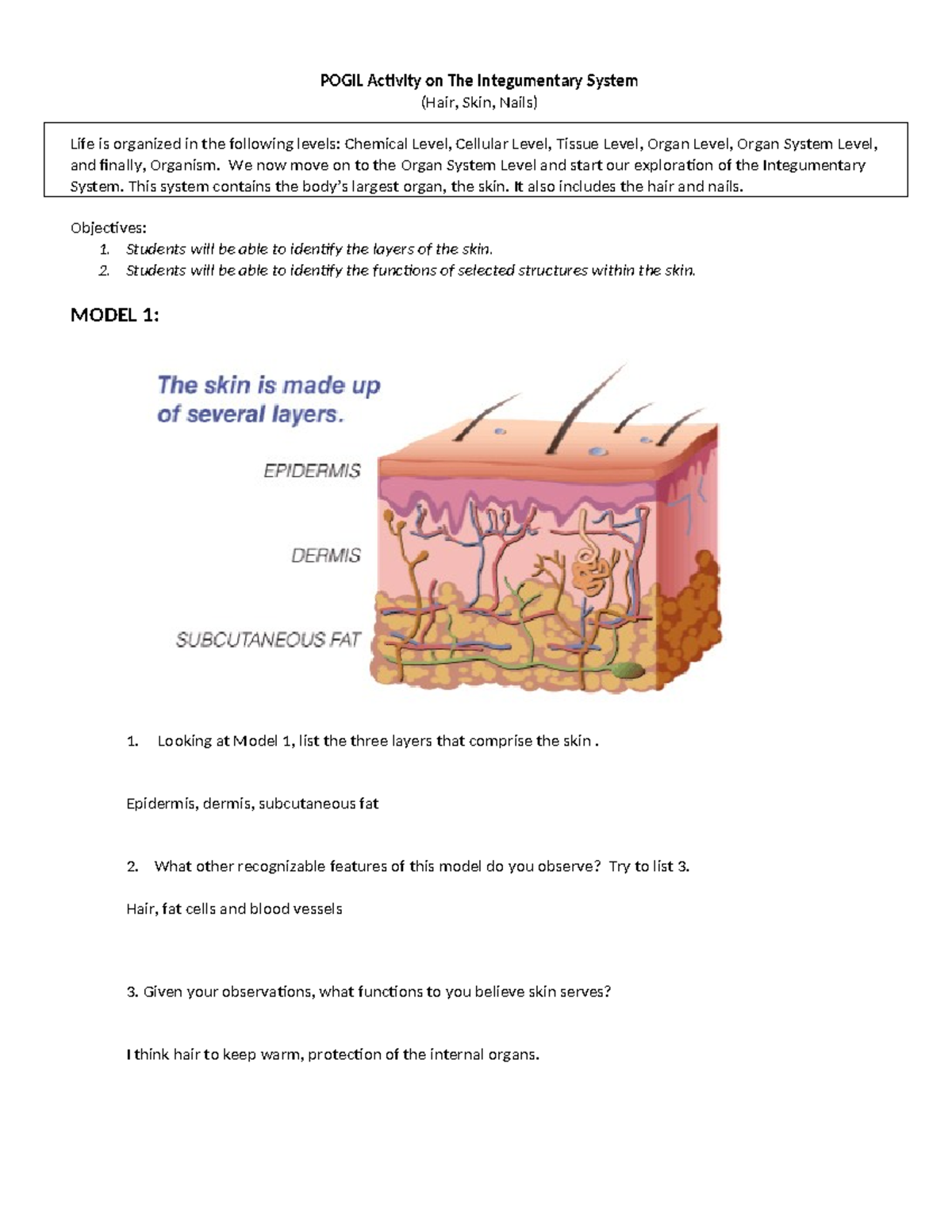 Layers Of Skin Activity