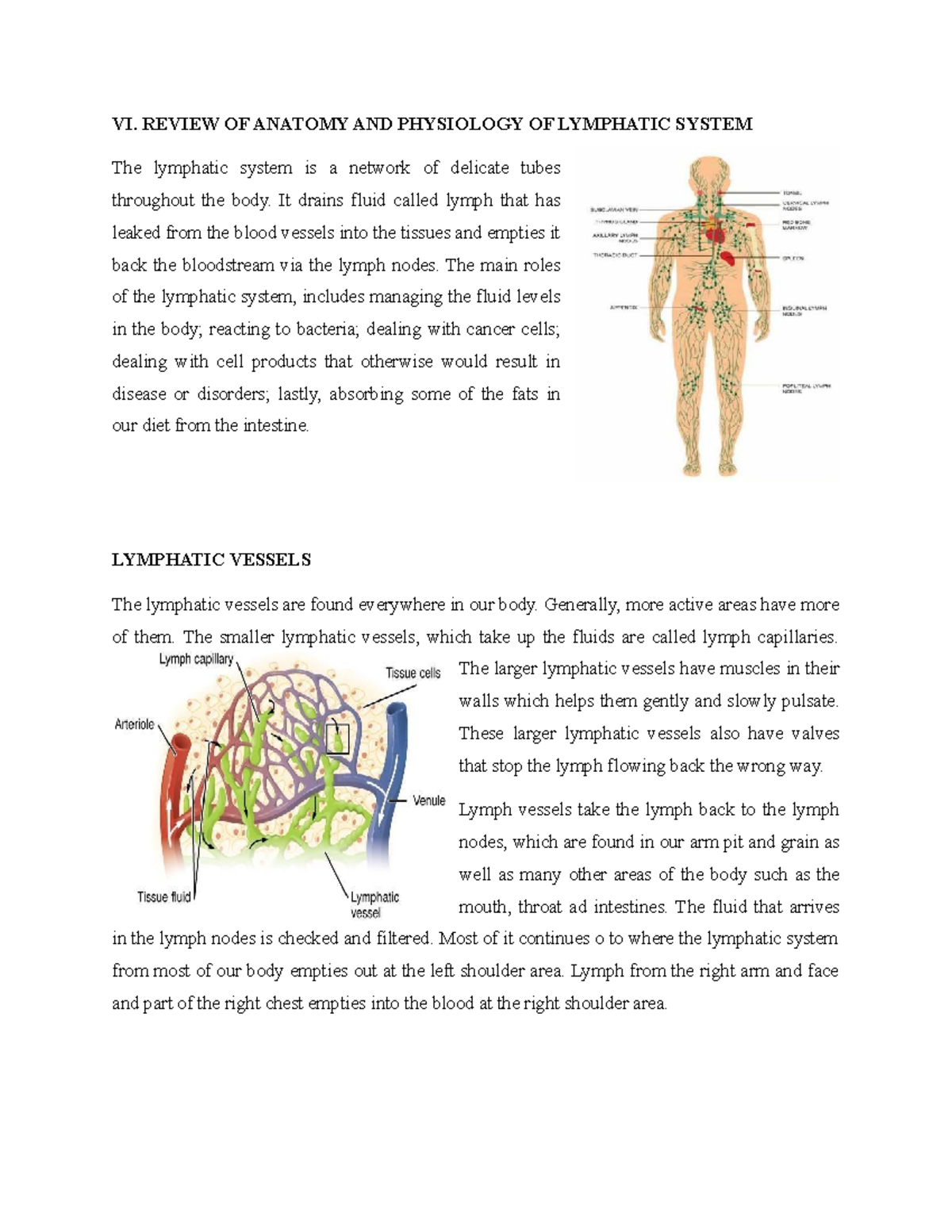 Lymphatic System Anatomy & Physiology: A Case Study - Studocu