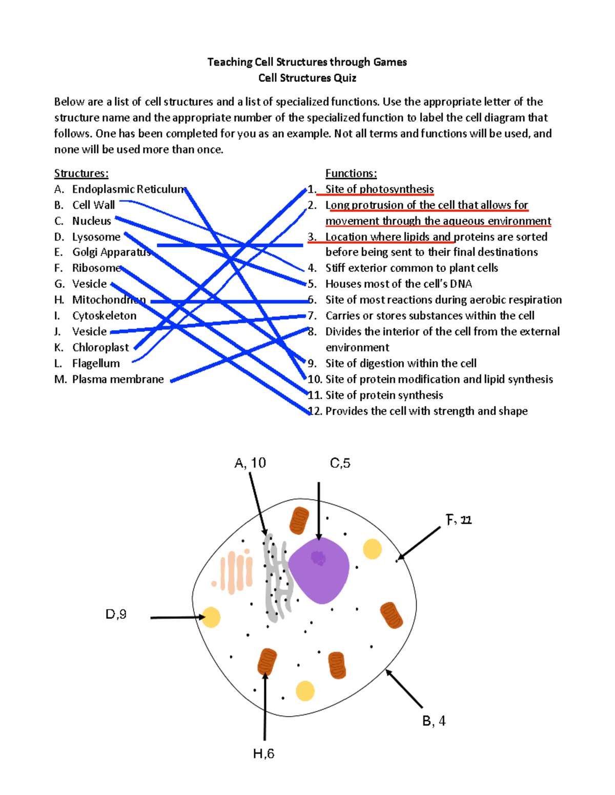 CELL Structure Quiz: Understanding Cell Functions and Structures - Studocu