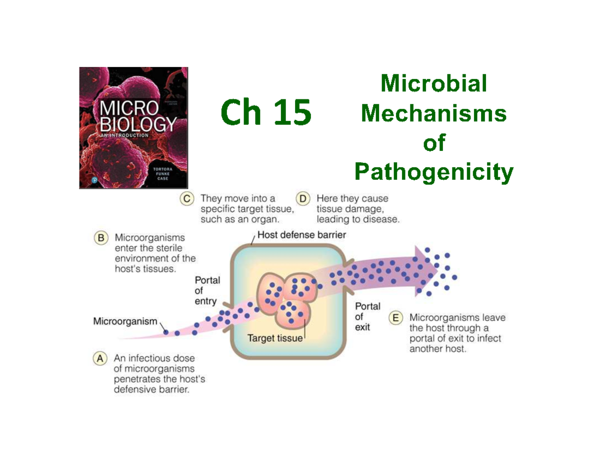Ch 15: Microbial Mechanisms of Pathogenicity - Studocu