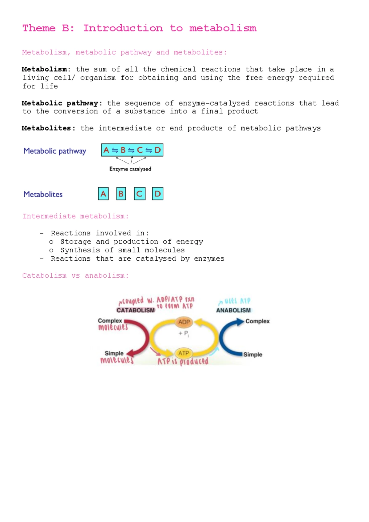 Biochemistry 101: Glucose Metabolism Overview and Key Processes - Studocu