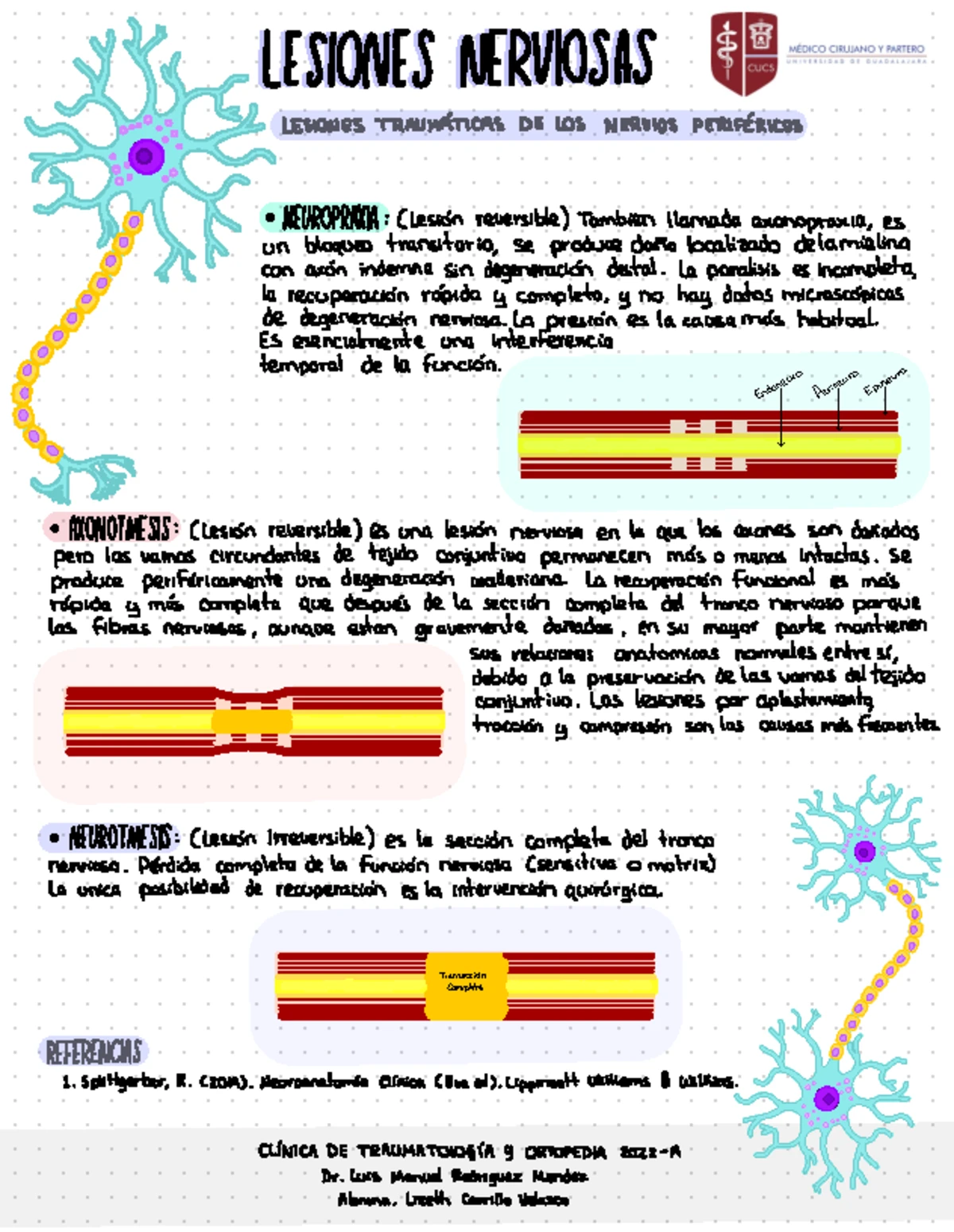 7C - Escoliosis: Tipos, Diagnóstico y Características - Studocu