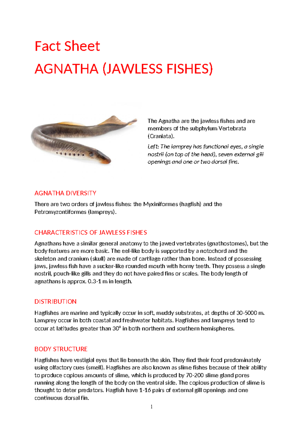 Fact Sheet: Agnatha (Jawless Fishes) Overview and Characteristics - Studocu