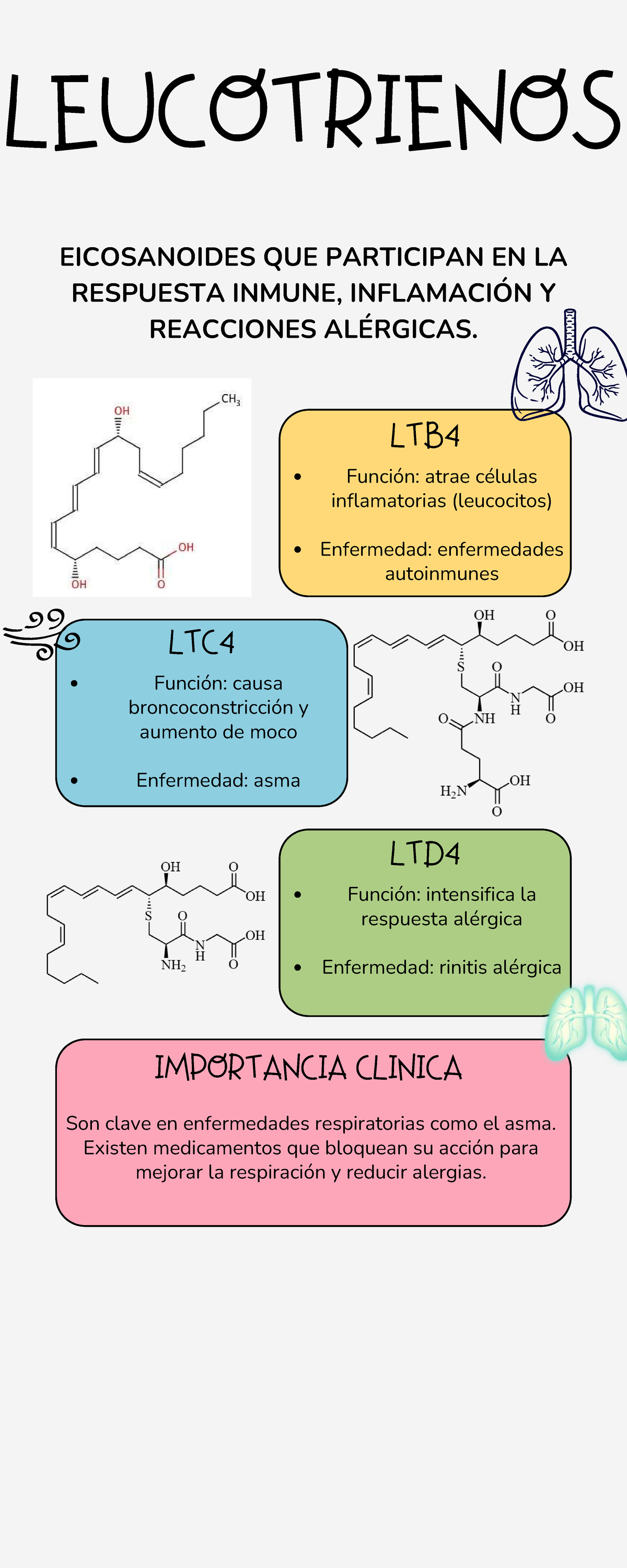 Leucotrienos - LEUCOTRIENOS EICOSANOIDES QUE PARTICIPAN EN LA RESPUESTA ...