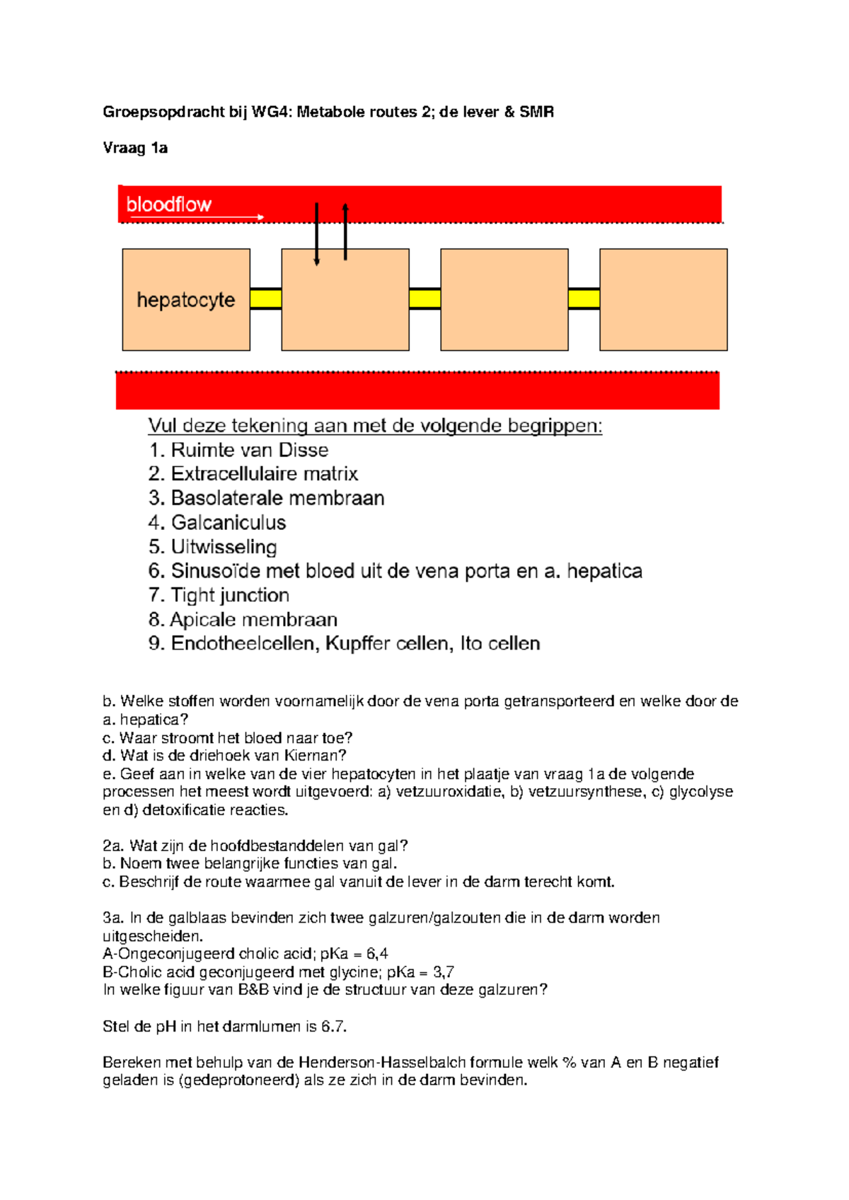 Groepsopdracht WG4: Metabole Routes 2 en Functies van Gal - Studeersnel