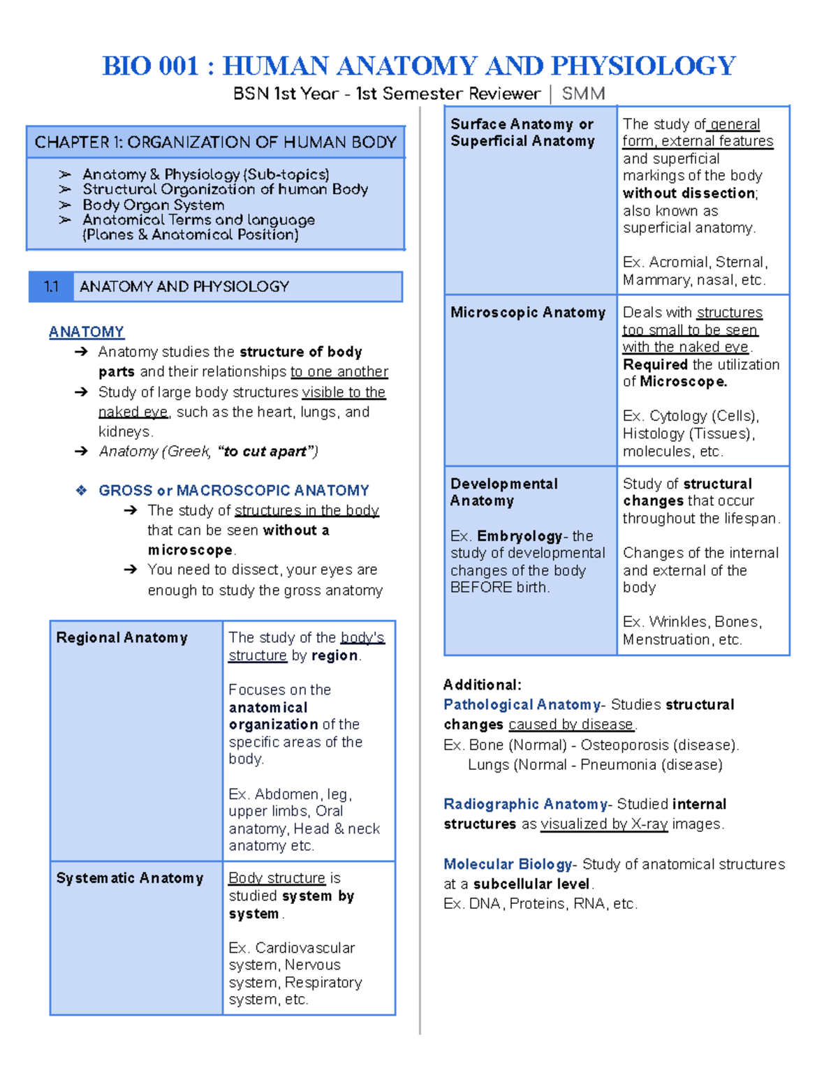Human Anatomy & Physiology - BSN 1st Year Chapter 1 Review Guide - Studocu