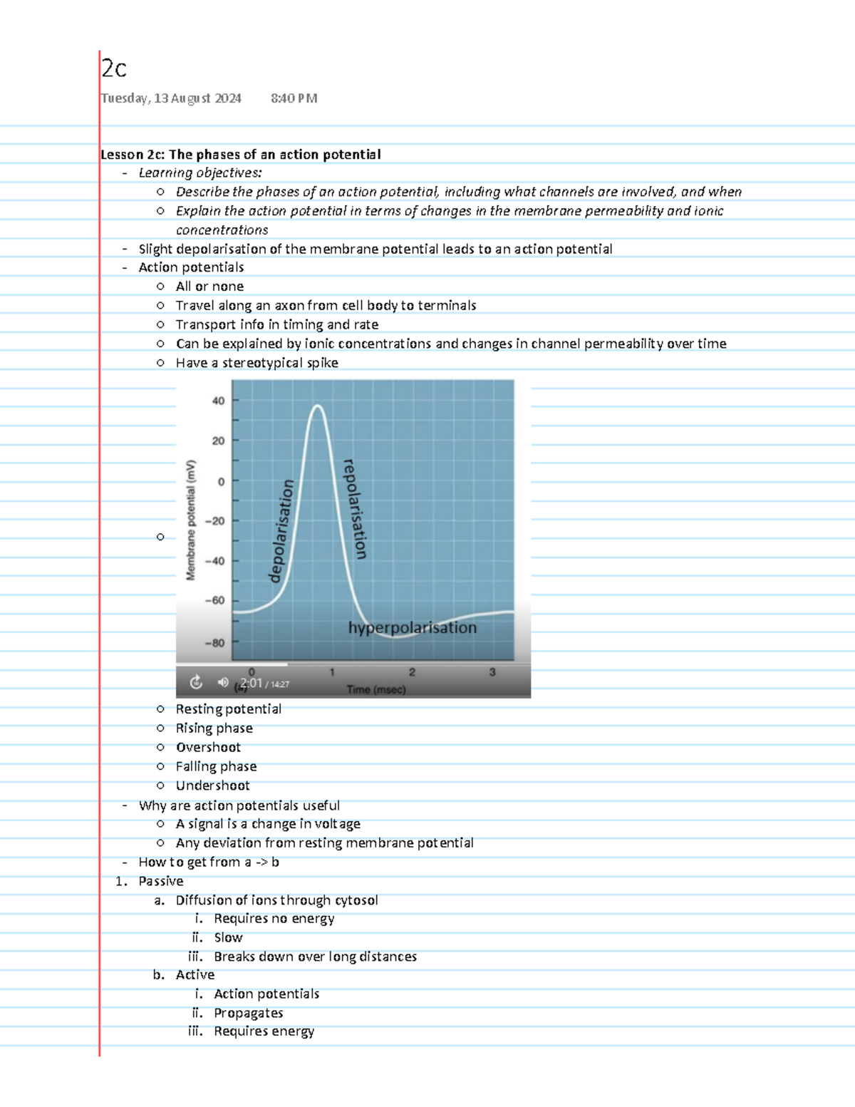 2c - Lecture notes of part 2c - Lesson 2c: The phases of an action ...