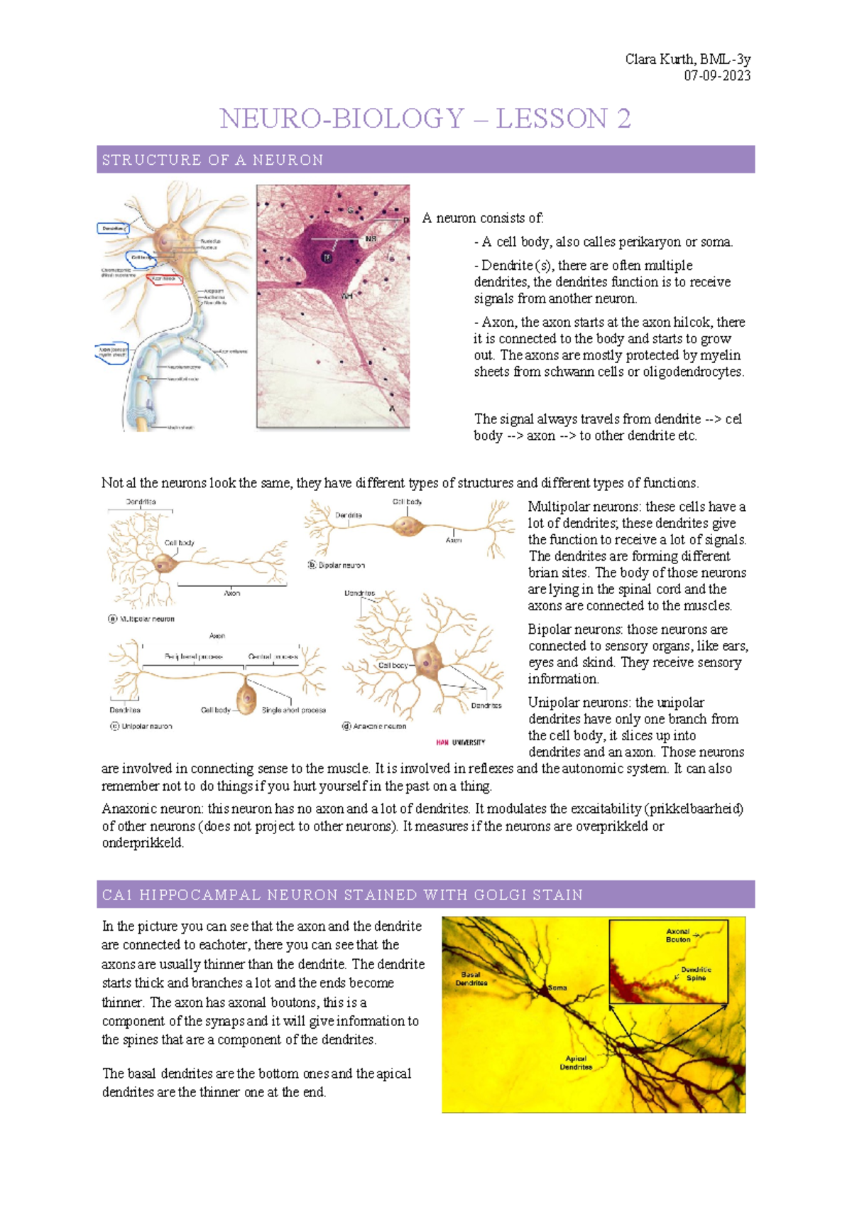 Neuro-Biology - Lesson 2: Structure and Function of Neurons - Studeersnel