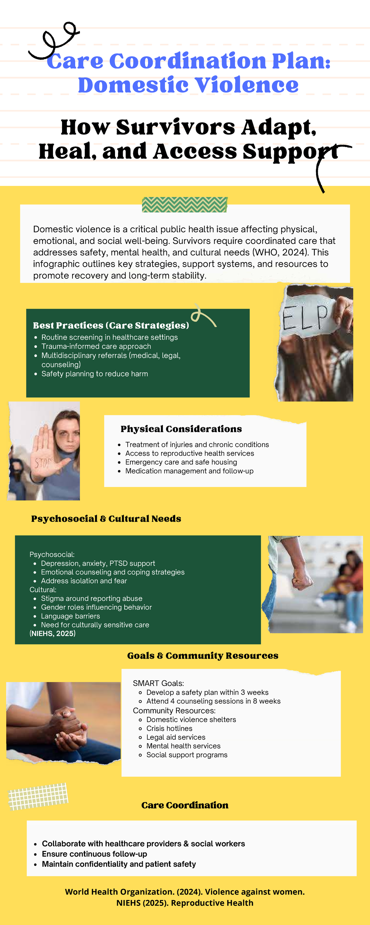 Care Coordination Plan: Supporting Domestic Violence Survivors - Studocu