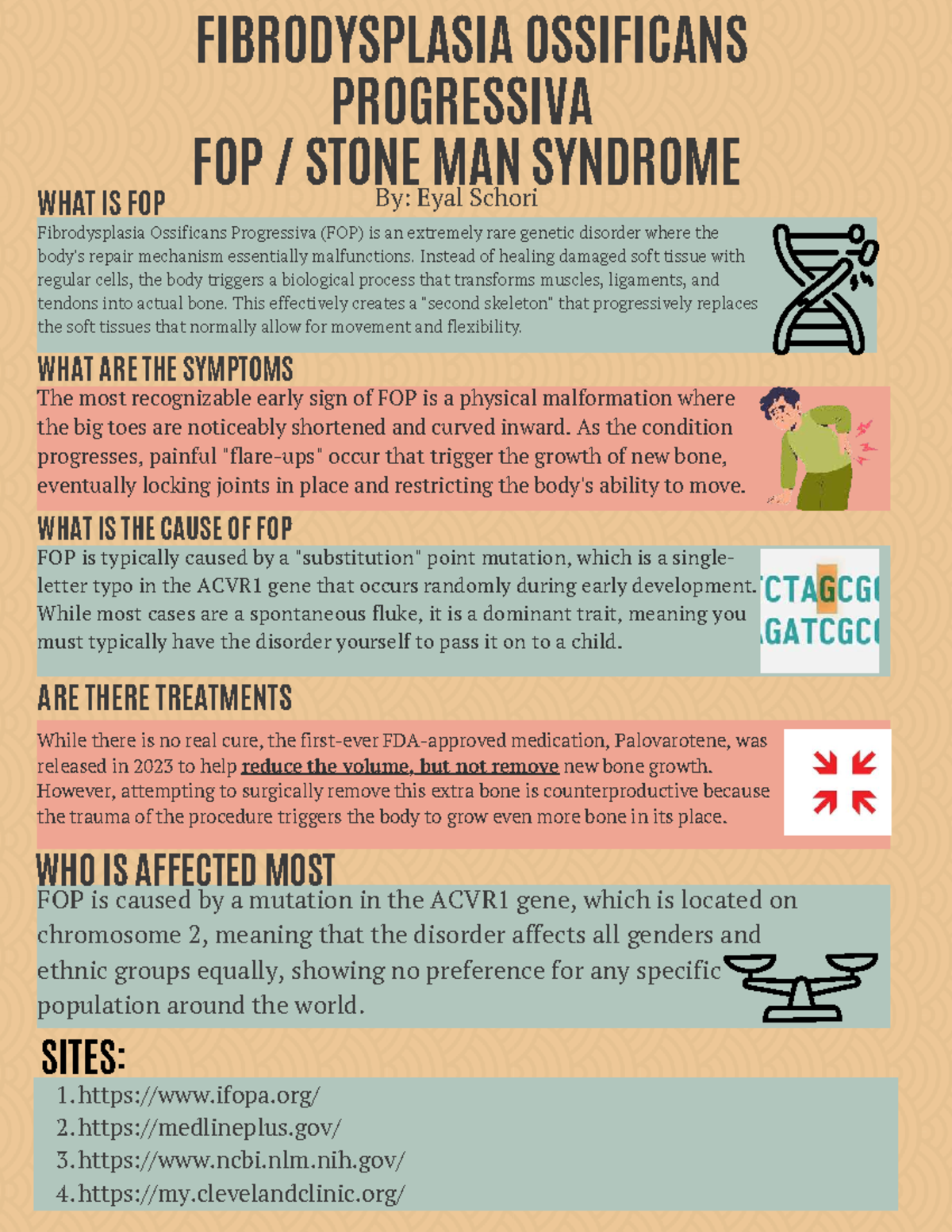 FOP: Understanding Fibrodysplasia Ossificans Progressiva (FOP) - Studocu