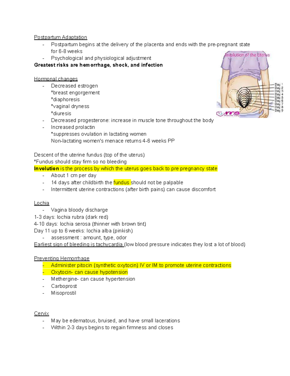 OB Notes (10) - Postpartum Adaptation and Care Overview - Studocu