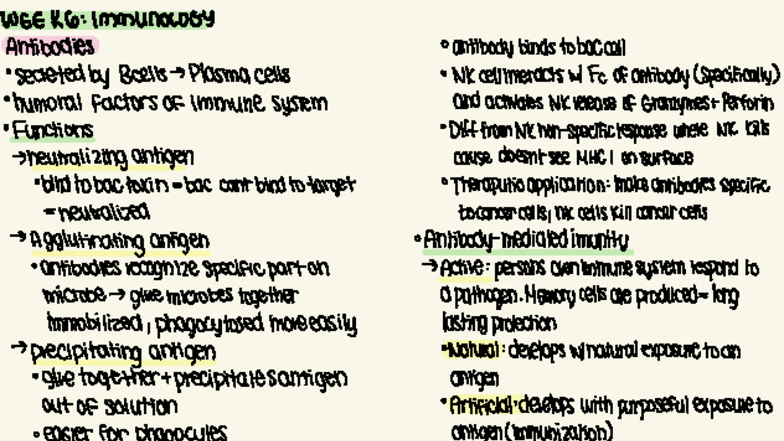 Immunology 101: Week 6 Summary Notes on Antibodies and Immune Response ...