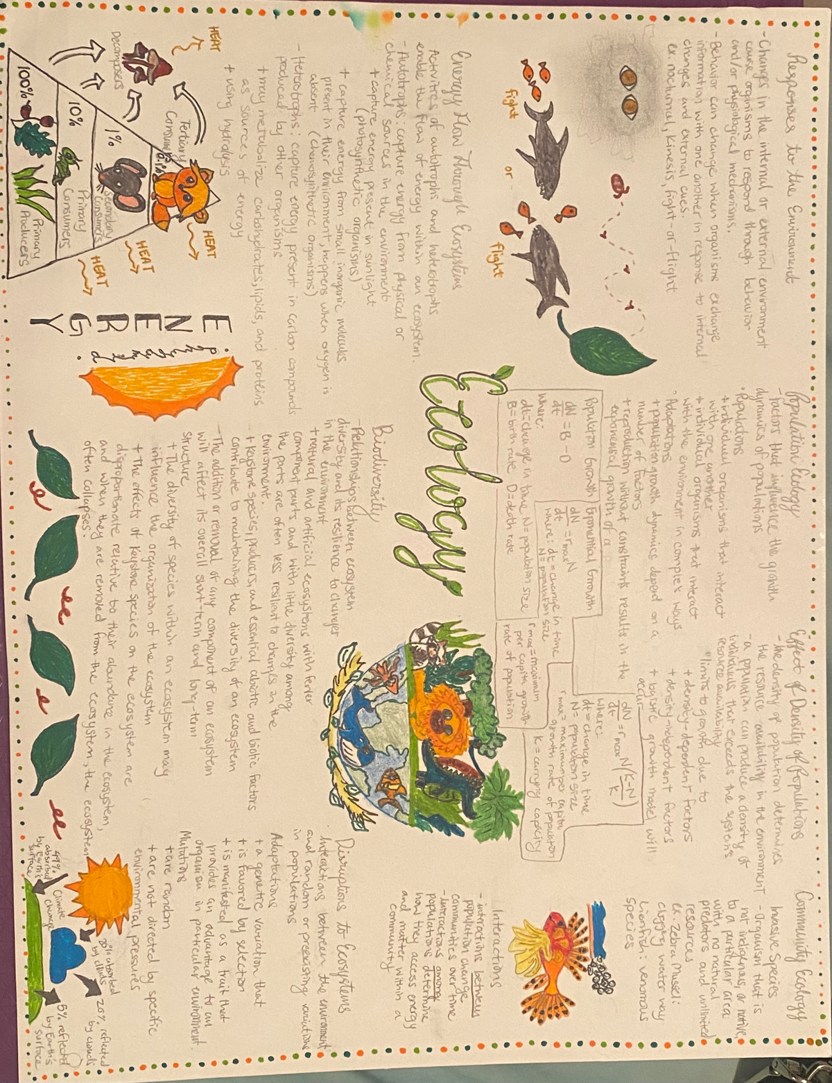 AP Bio: Ecology One-Pager on Population & Community Dynamics - Studocu
