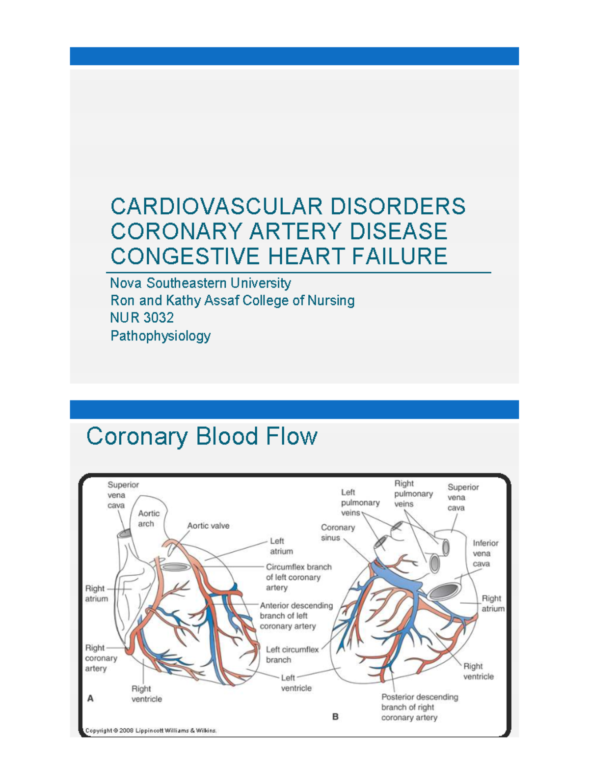 Pathophysiology of Coronary Artery Disease and Heart Failure (NUR 3032 ...