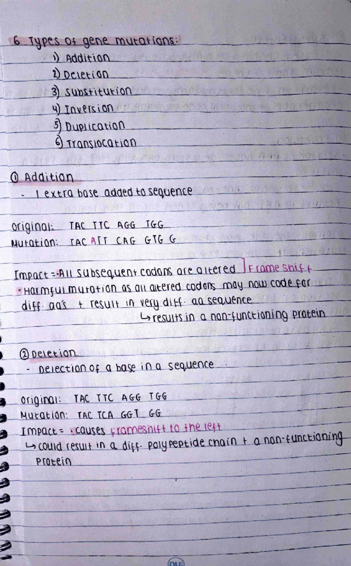 Bio Notes: Gene Mutations & Tumor Biology (Book 13, Jun 2026) - Studocu