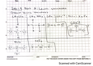 Bio182-06.01-worksheet Potometer - Name: Potometer Worksheet Directions ...