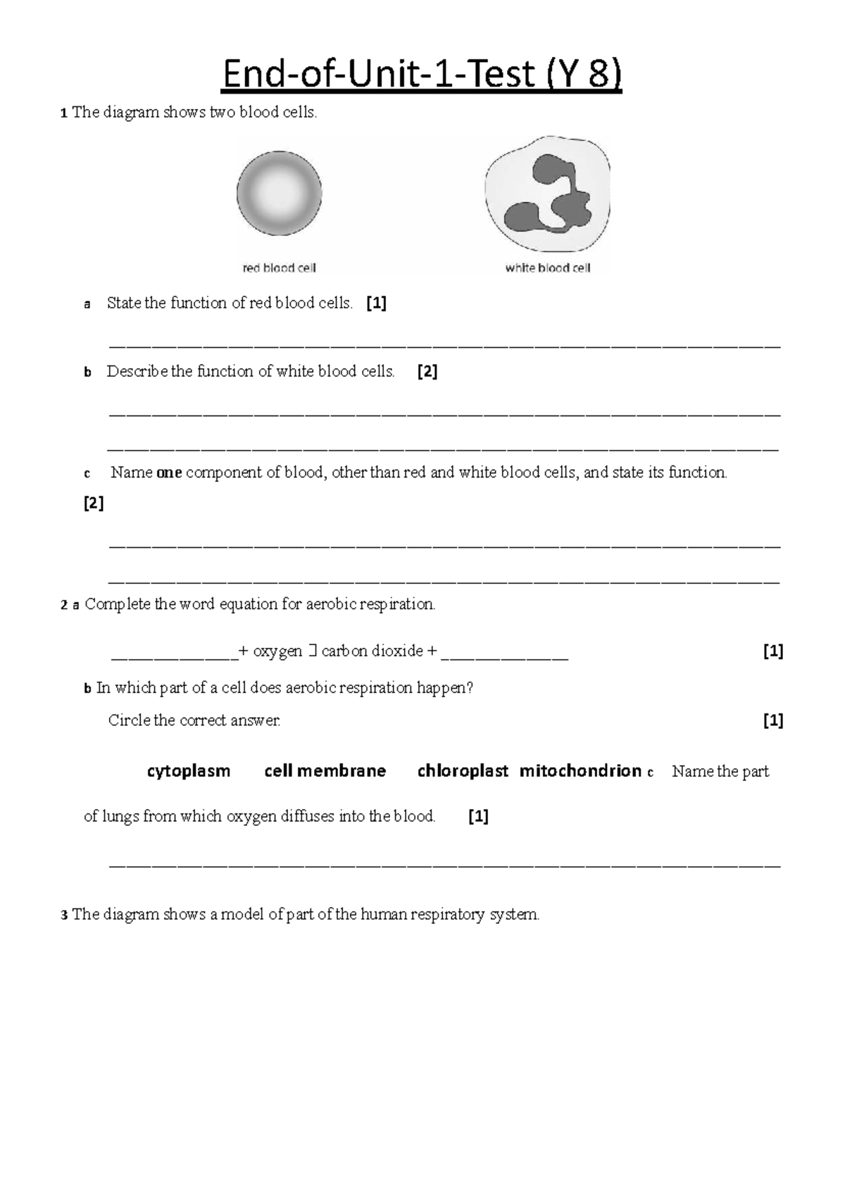 (Y 8) Blood Cells, Respiration, and Ecosystems: Key Concepts - Studocu