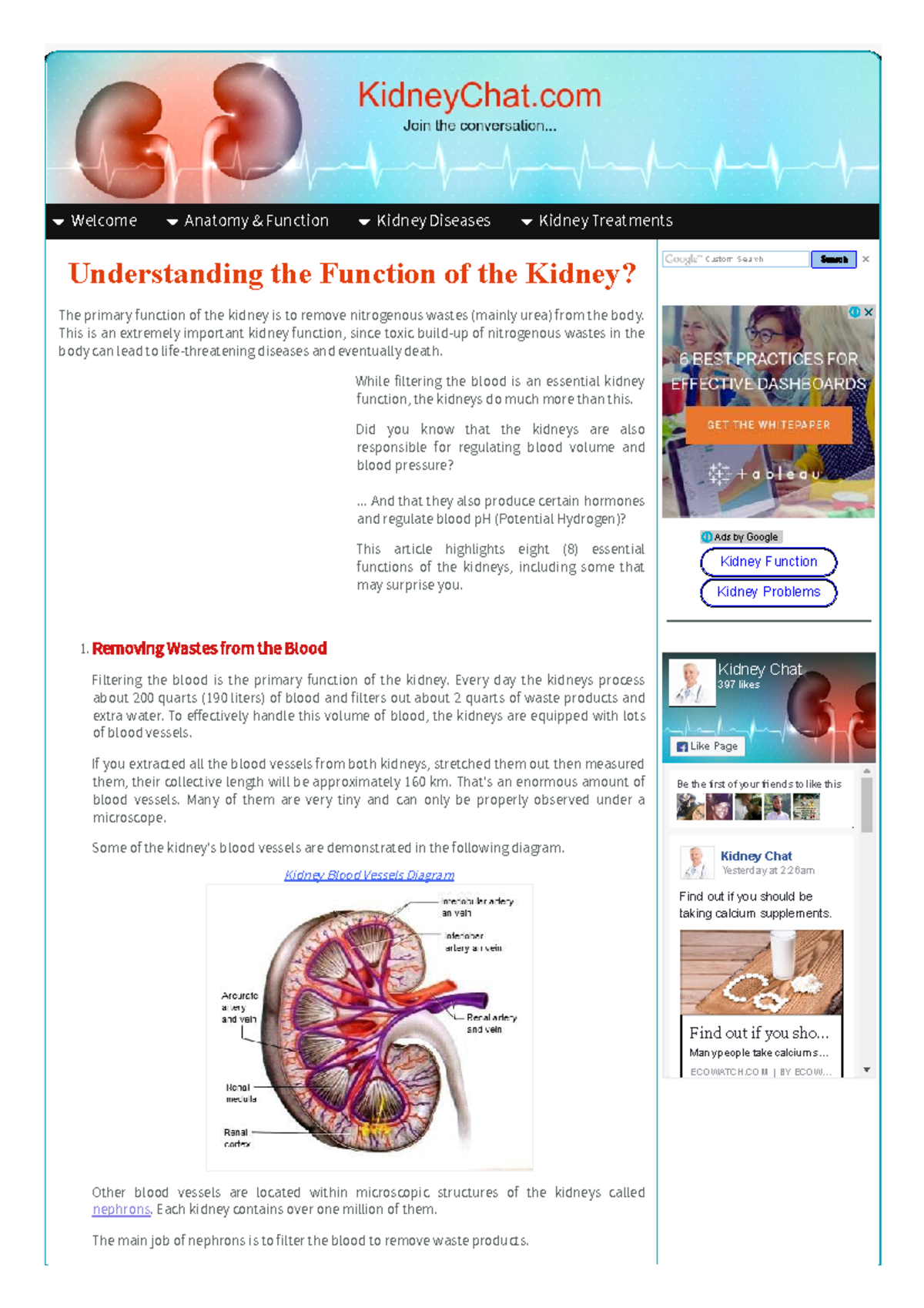 Understanding Kidney Functions and Diseases: A Comprehensive Guide ...