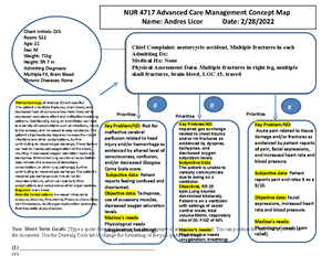 Comprehensive Care Map-Plan Template - NUR4717C Advanced Care ...