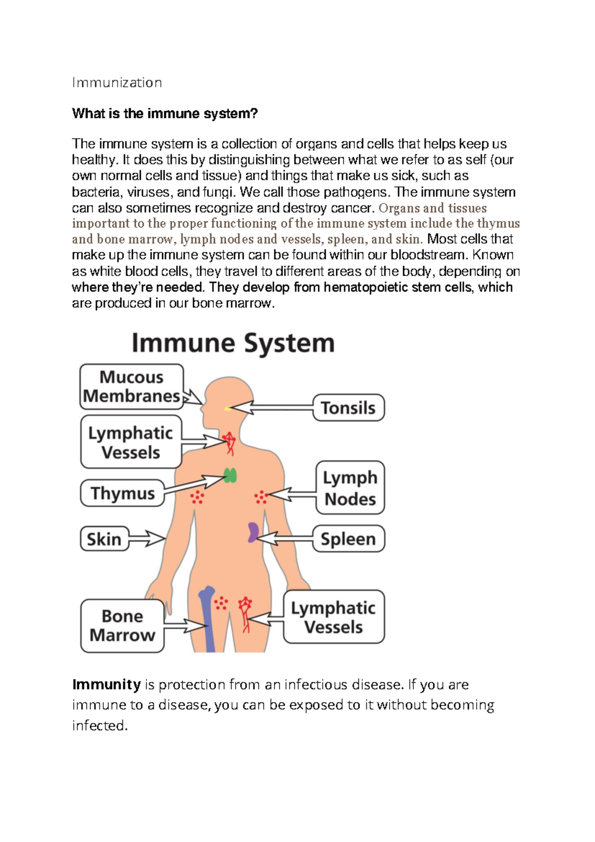 Immunization: Understanding the Immune System and Its Functions - Studocu