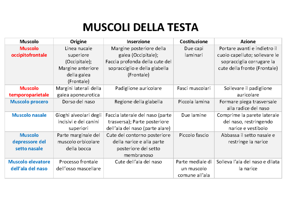 Schema Dei Muscoli Del Corpo Umano 870+ Muscolo Frontale Foto Stock,