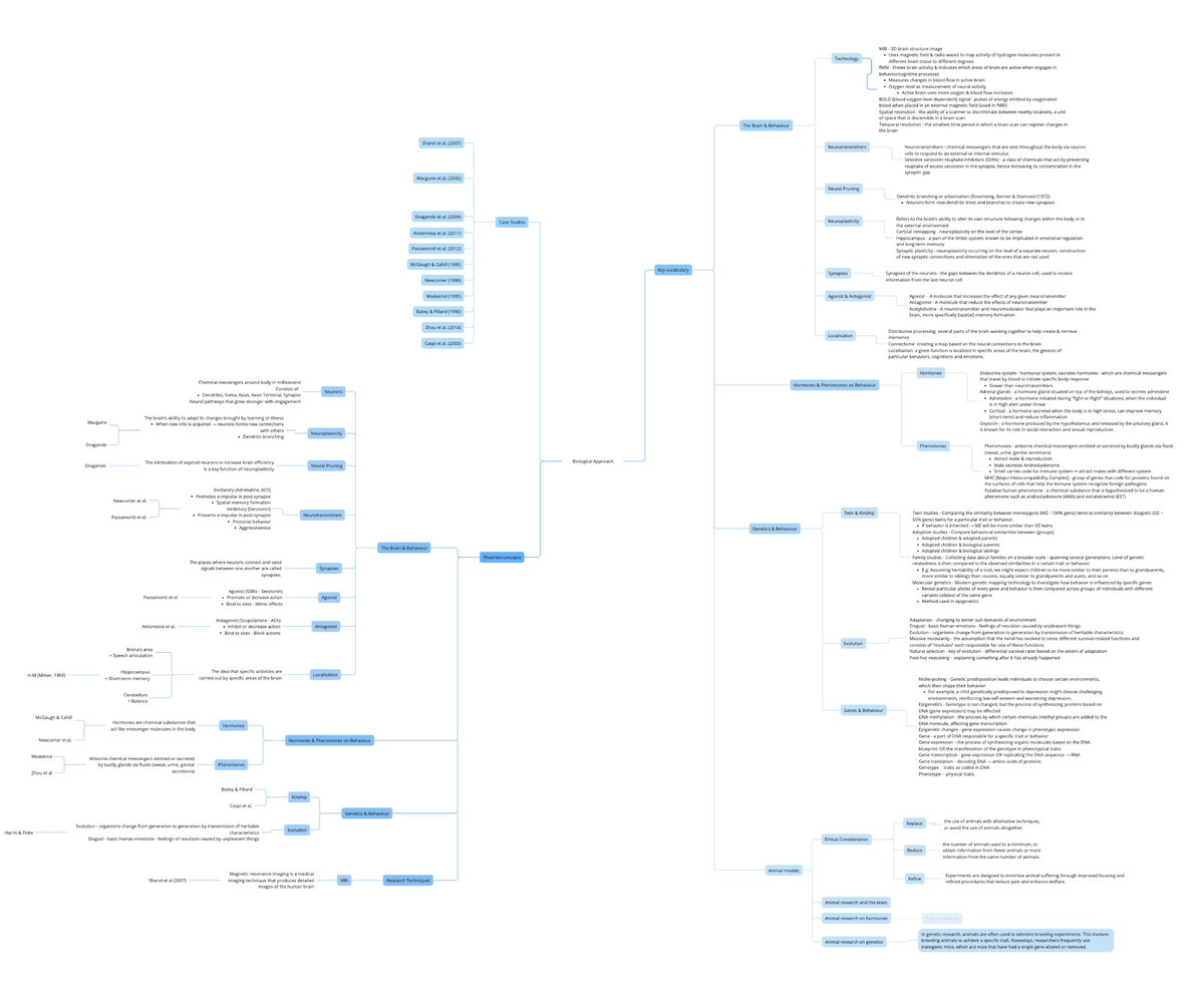 Biological approach mindmap - MRI 3D brain structure image Uses ...