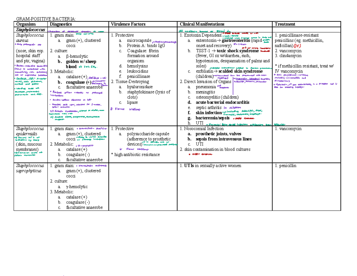 BACTERIA: Microbiology Summary and Diagnostics (Course Code: MB101 ...