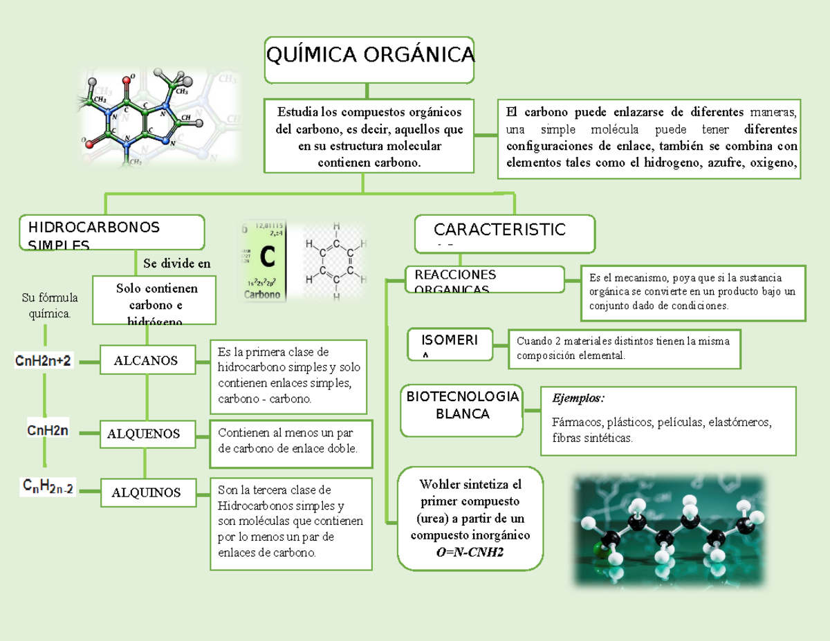 Mapa conceptual de la Quimica Organica - QUÍMICA ORGÁNICA Estudia los