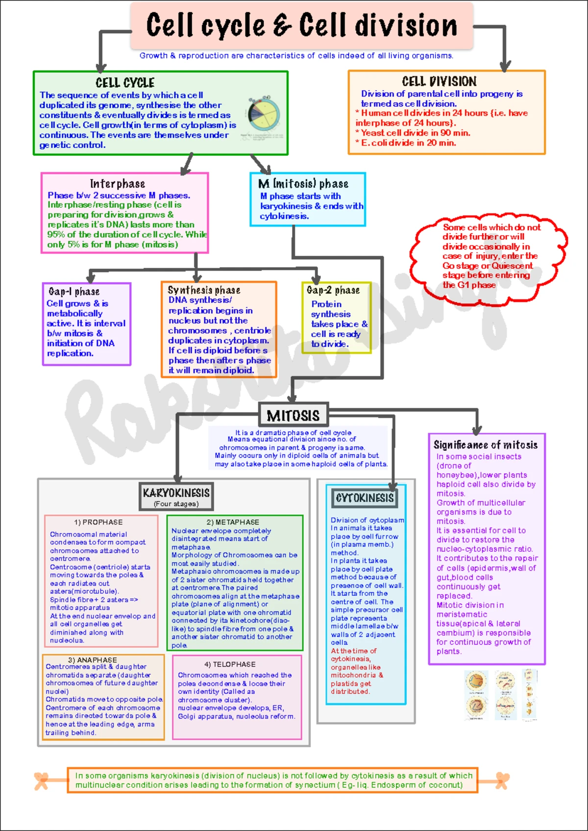 UNIT 2 & 3 - Study Notes and Summaries for Comprehensive Understanding ...
