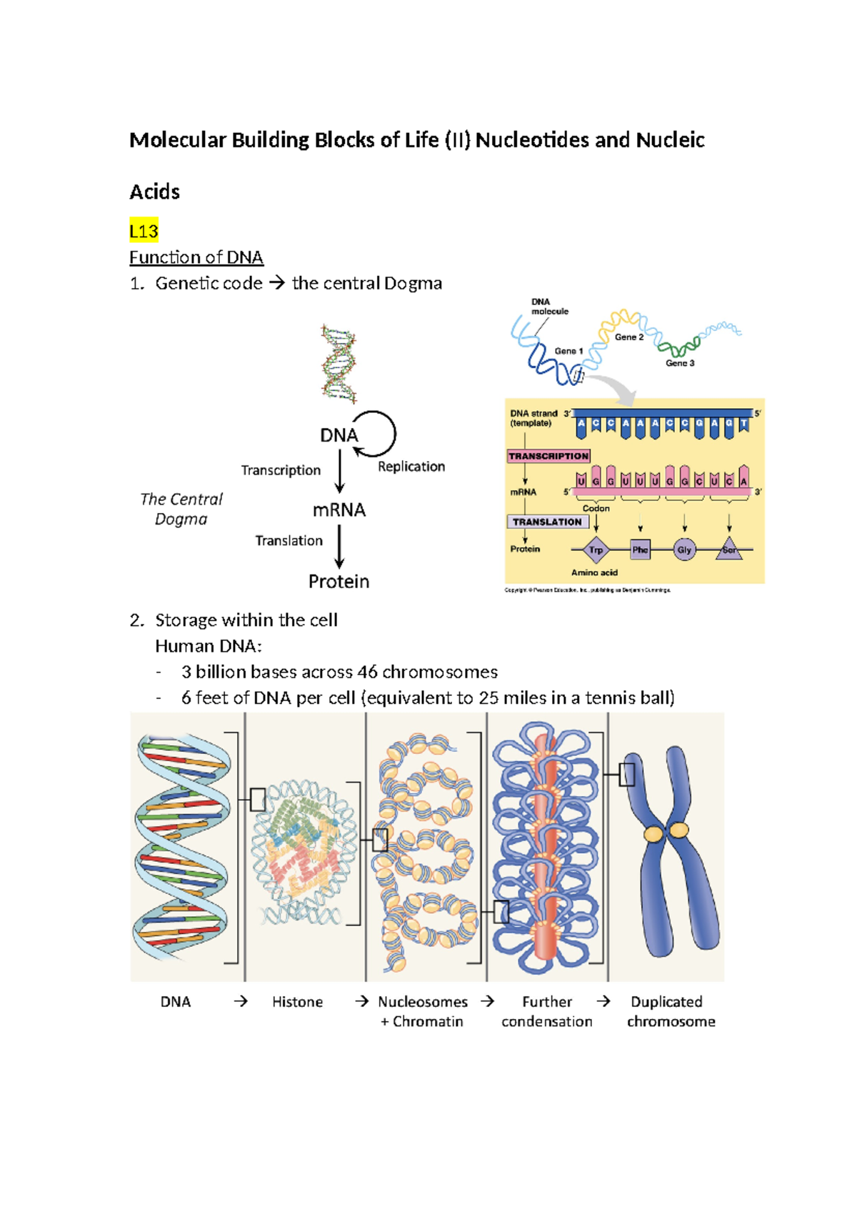 Molecular Building Blocks of Life (II) Nucleotides and Nucleic Acids ...