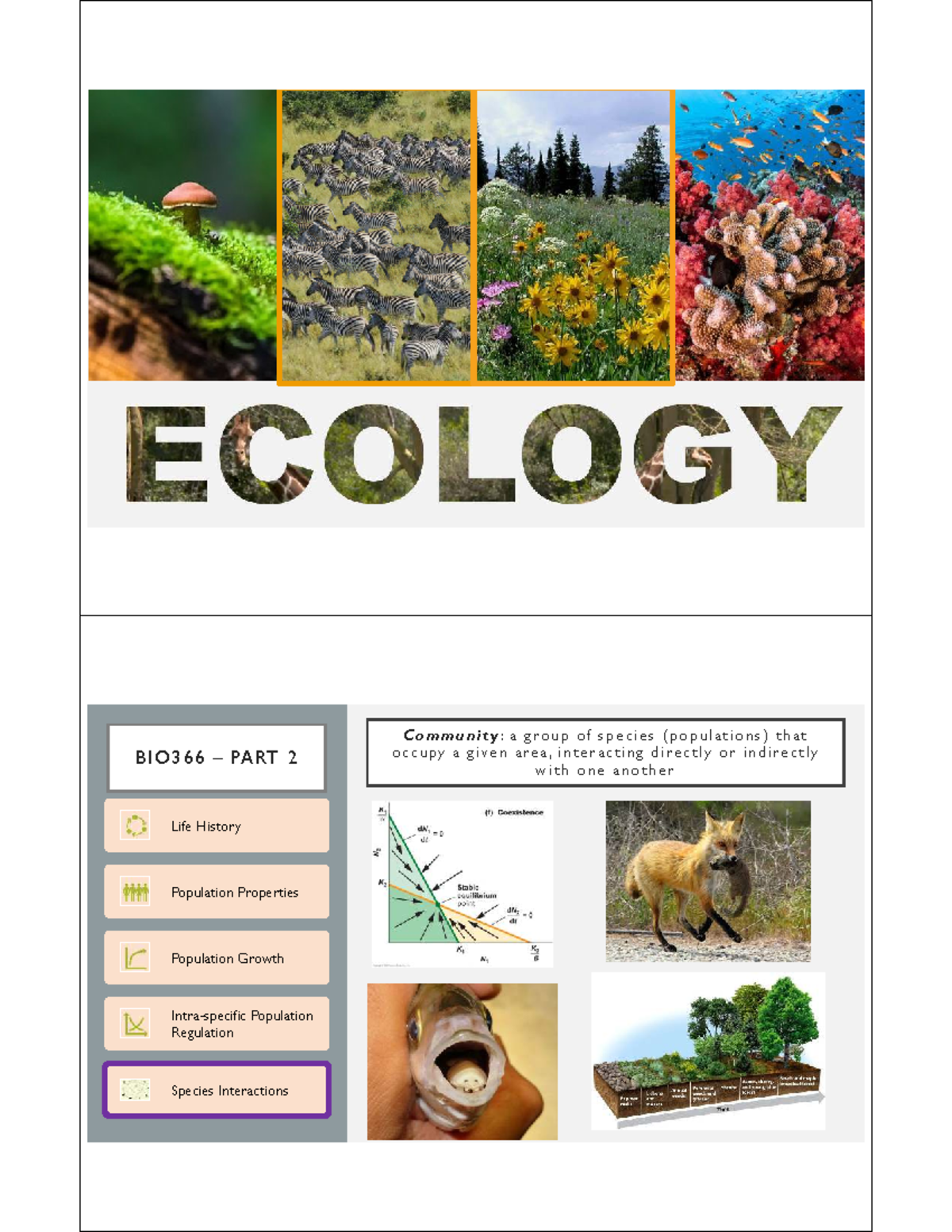 BIO366 Exam Review: Species Interactions & Community Dynamics - Studocu