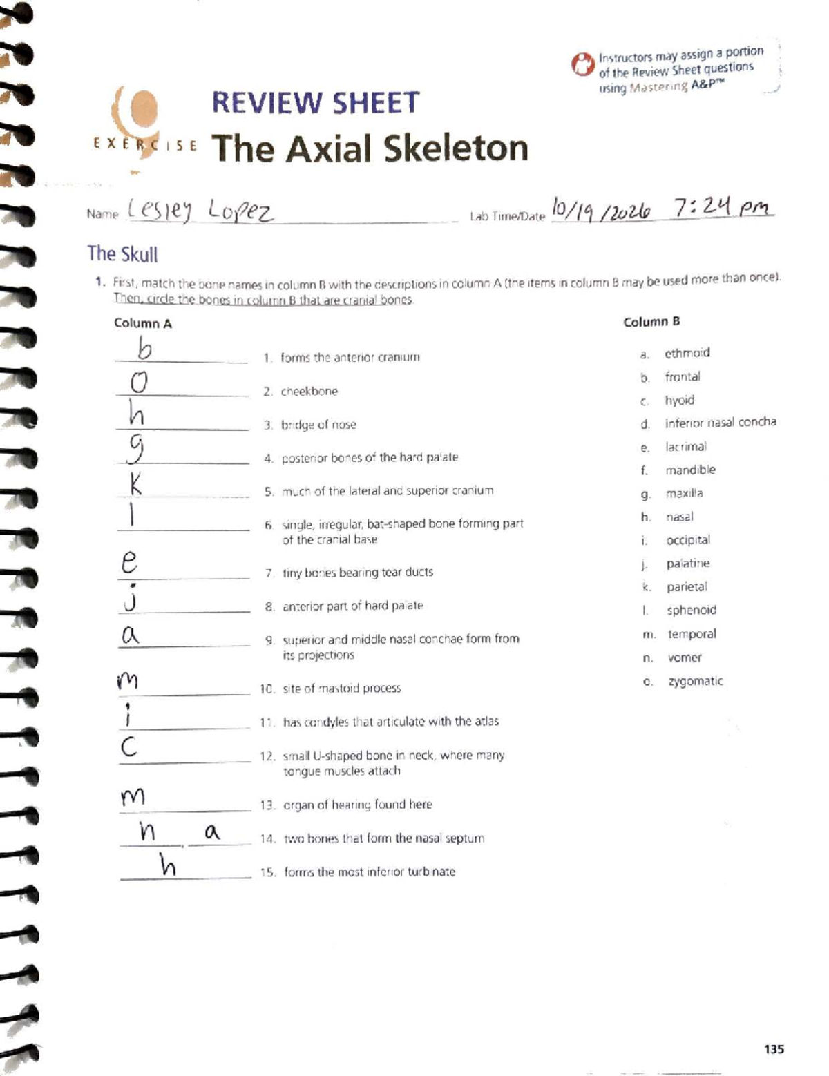 Exercise 9 HW: Review Sheet on the Axial Skeleton and Vertebral Column ...