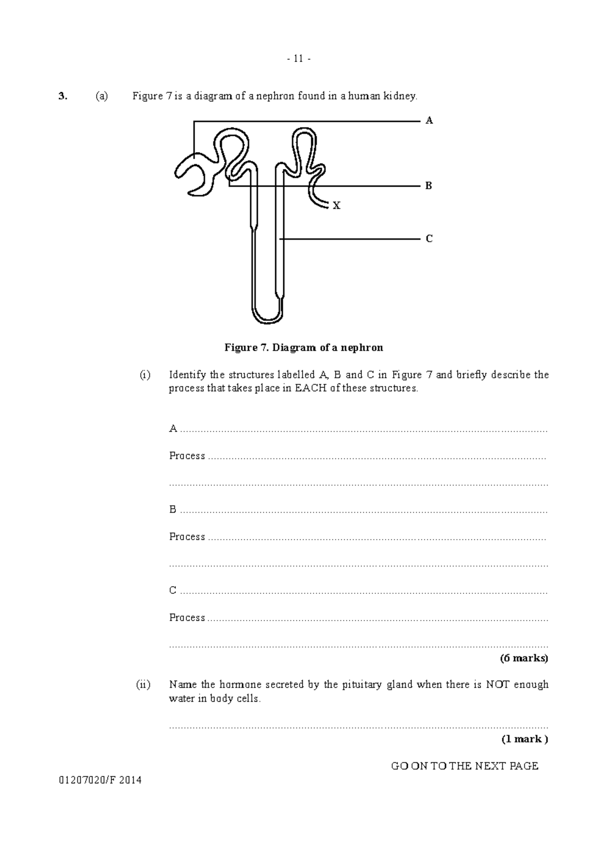 CSEC Biology 2014 PPQ - Nephron Structure & Function Analysis - Studocu