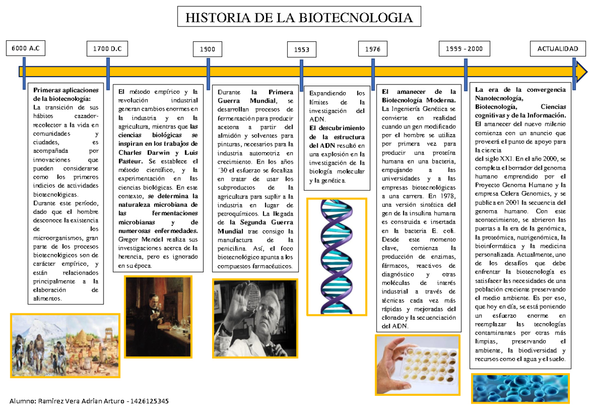 Linea Del Tiempo De La Historia De La Humanidad 1979 Pdf - Infoupdate.org