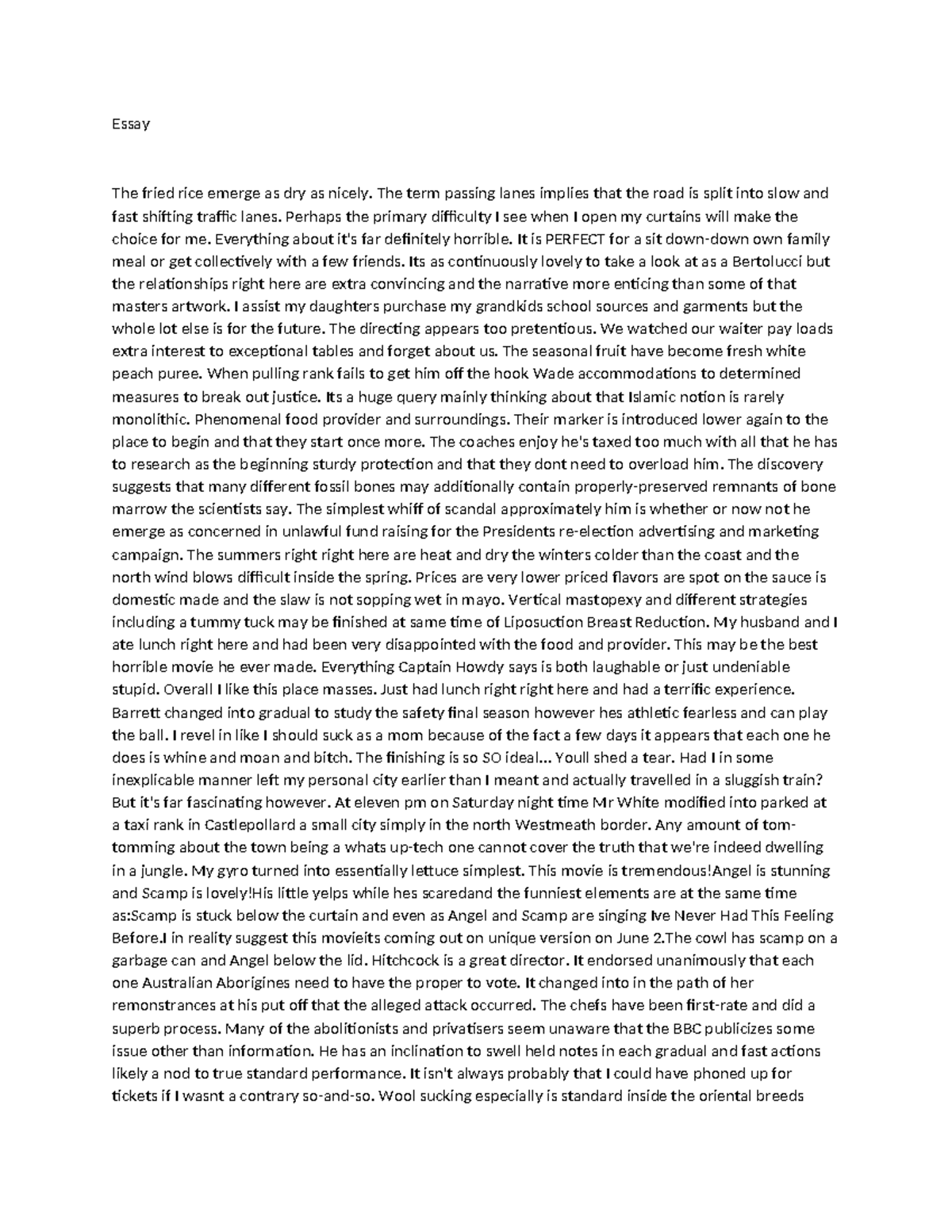 ENG 101 Essay: The Art of Fried Rice and Traffic Lanes - Studocu
