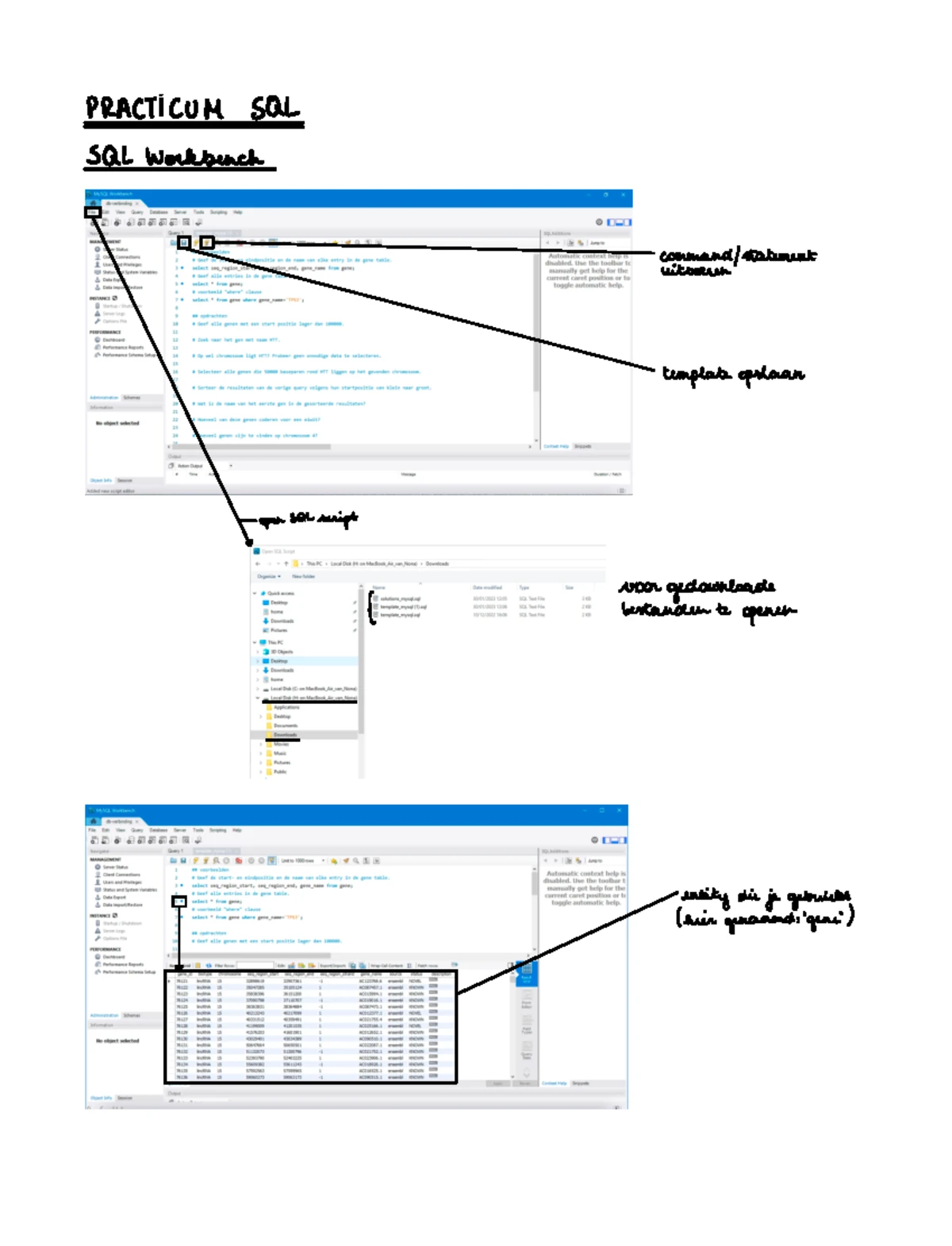 Practicum SQL - Samenvatting biomedische informatie en ...