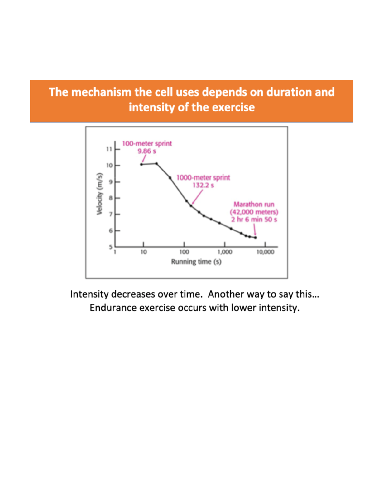 Bio161 ch. 17 muscular control - The mechanism the cell uses depends on ...