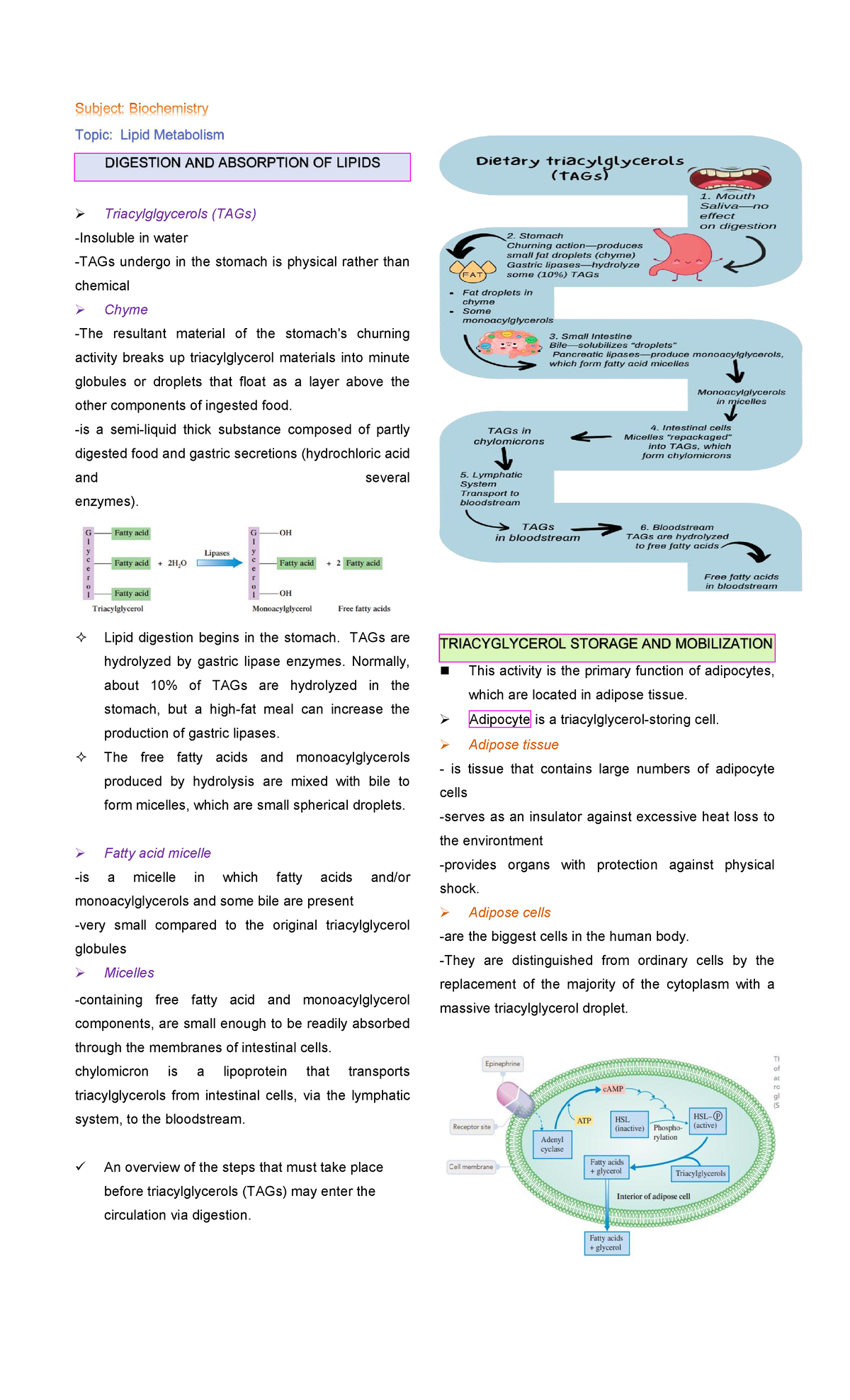 Transesbiochem - biochem - Triacylglgycerols (TAGs) -Insoluble in water ...