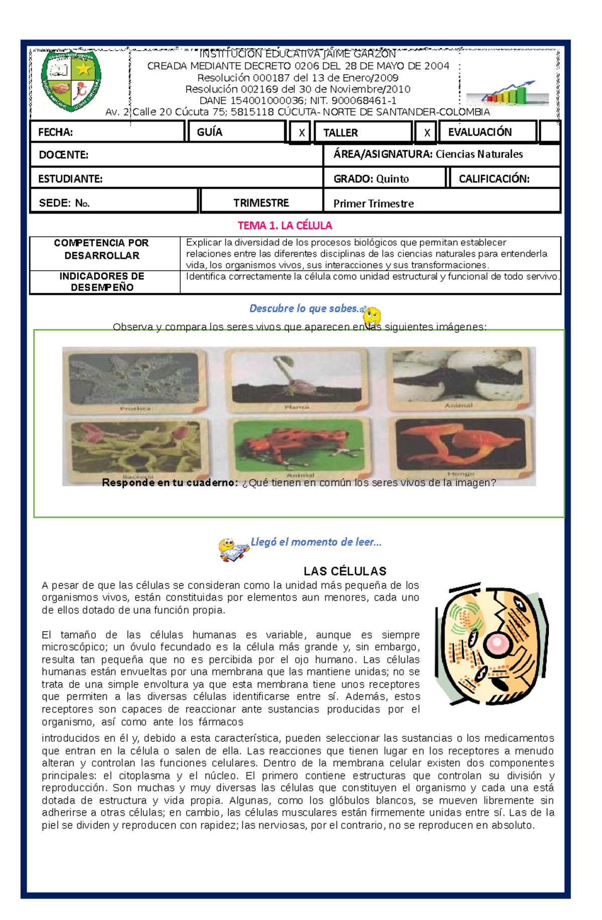 Explorando la Célula Vegetal y Animal: Actividades Educativas, image size:1200x1835