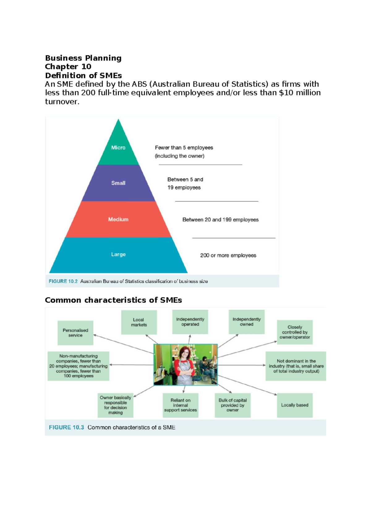 Business Planning: Chapter 10 - Understanding SMEs and Their Impact ...