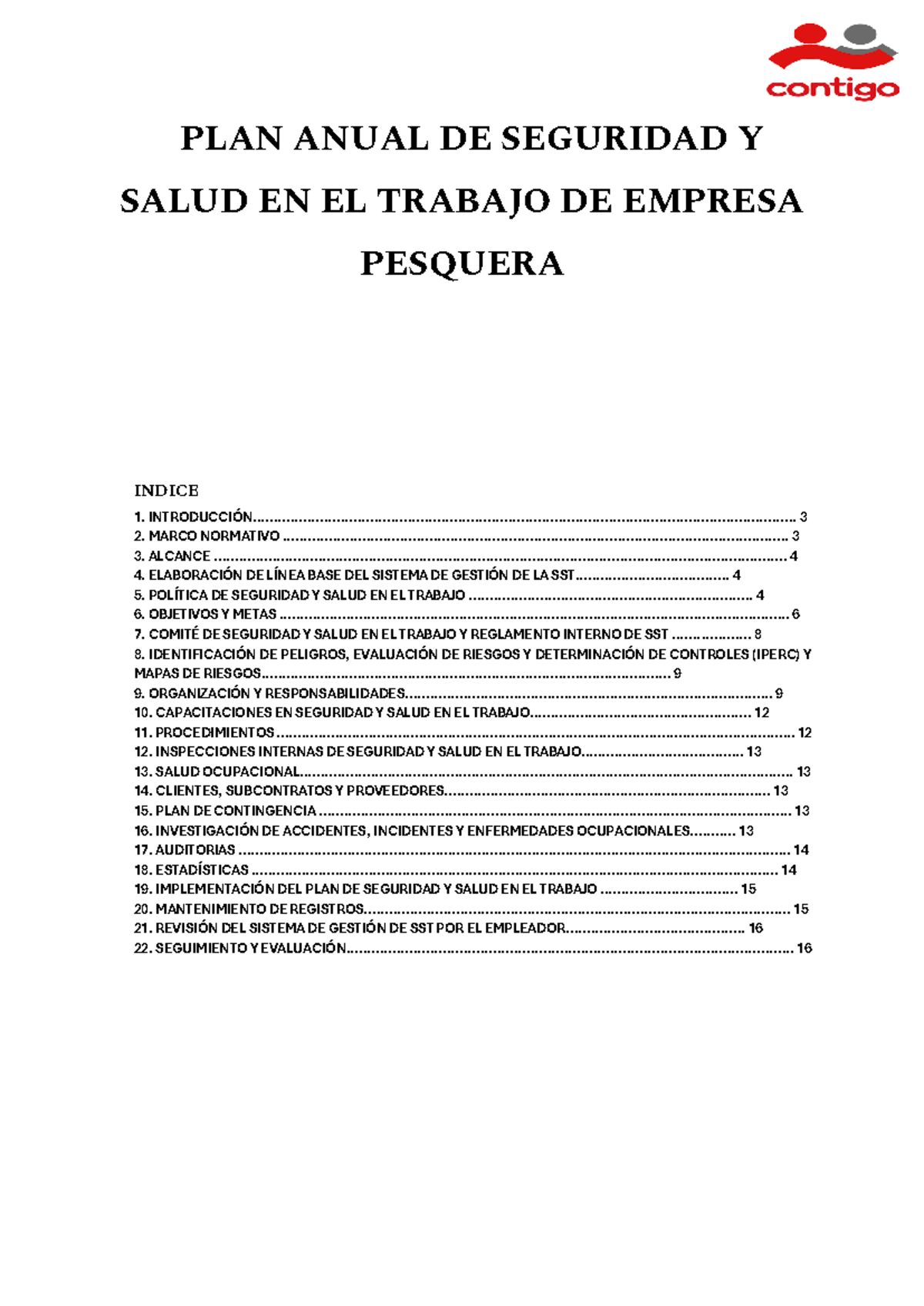 Plan Anual de Seguridad y Salud en el Trabajo 2024 - Grupo 6 - Studocu
