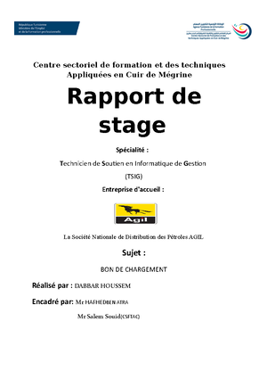 Template-rapport pfe DSI - Institut Supérieur des Etudes Technologiques ...