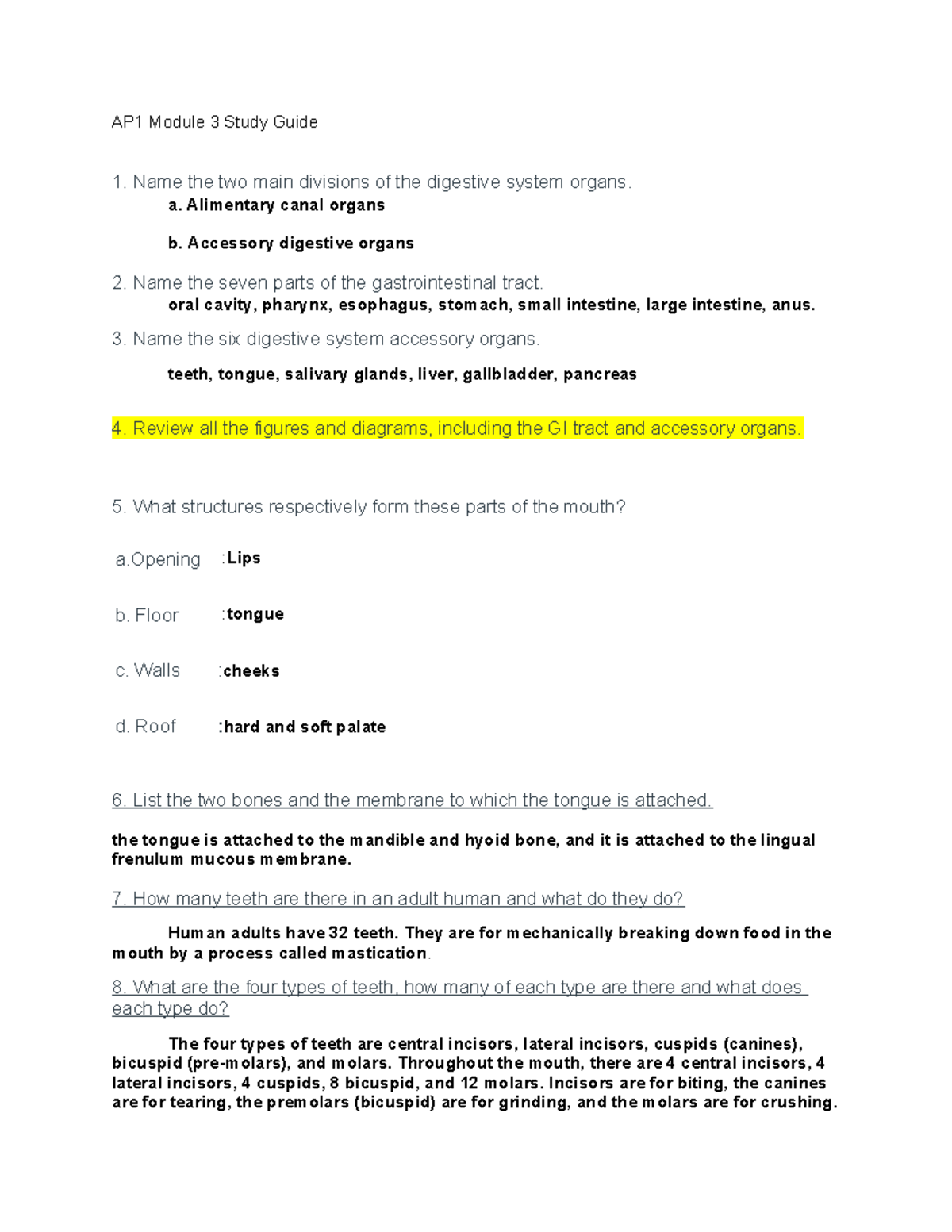 AP1 Module 3 Digestive System Study Guide and Key Concepts - Studocu