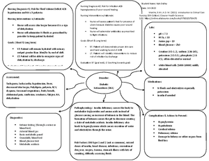 Concept Care Map done - Care Map - Concept Care Map Guidelines Goal – A ...