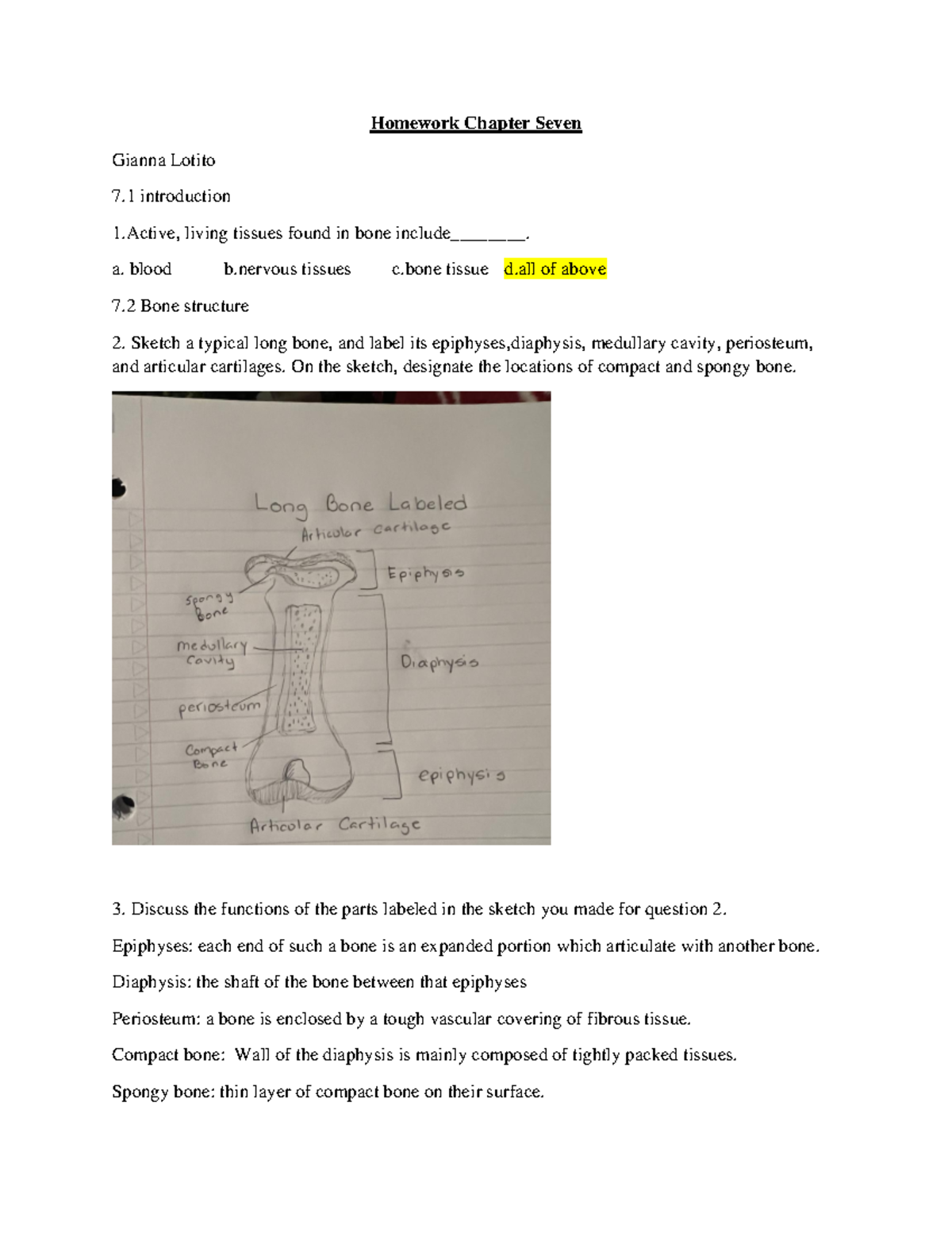 Chapter Seven Question and Critical thinking Questions - Homework ...