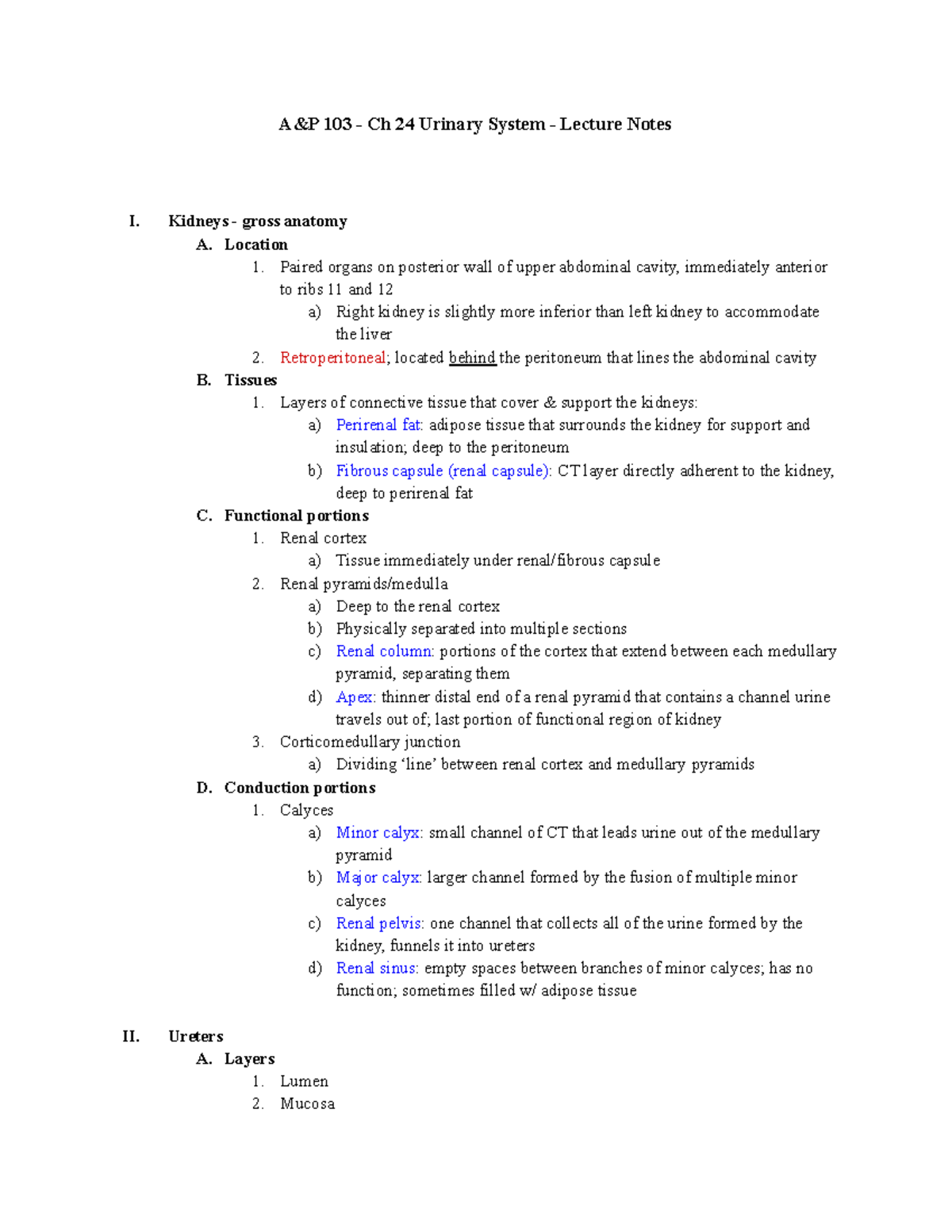 A&P 103: Chapter 24 Urinary System - Comprehensive Lecture Notes - Studocu