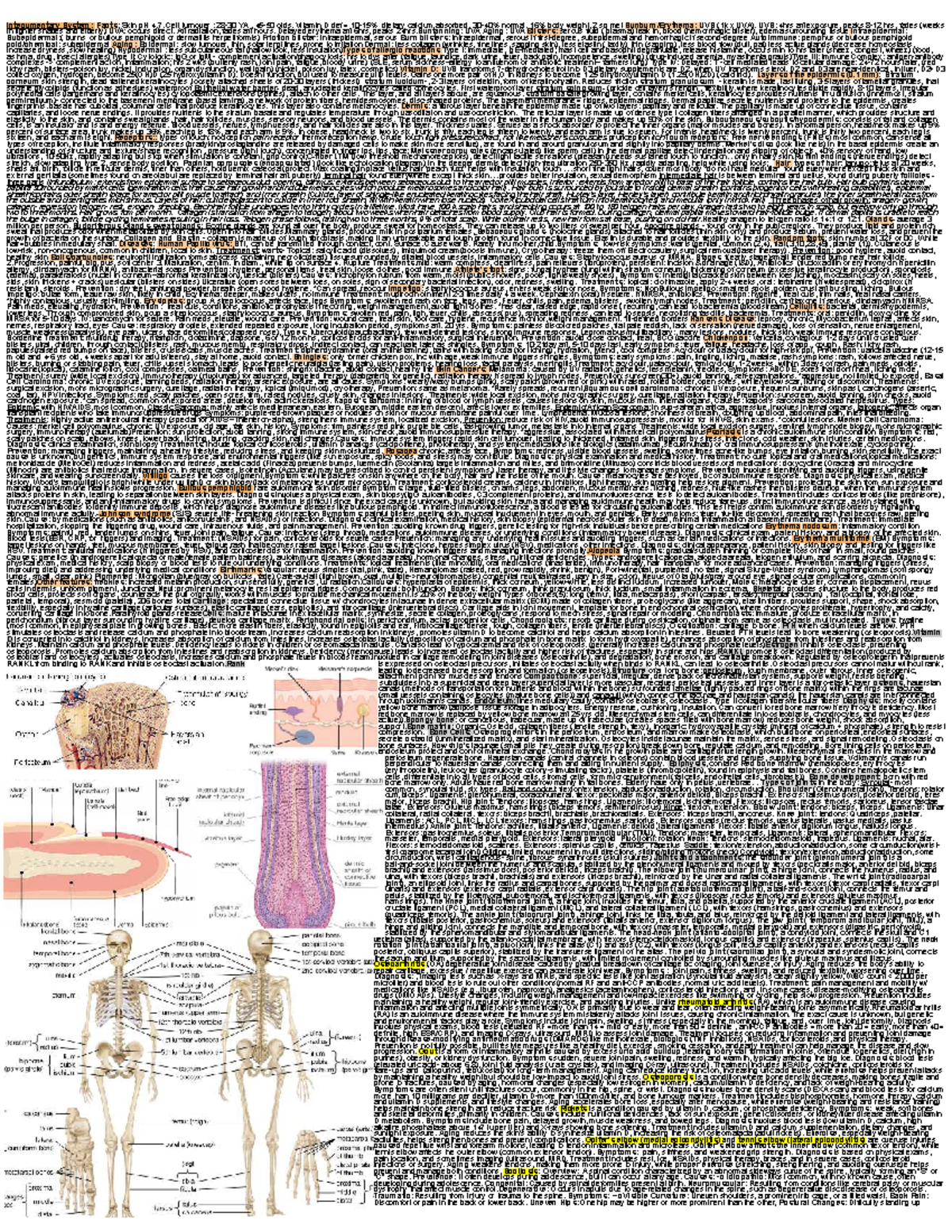 AnaP 24-25 Lecture Notes: Integumentary System Overview - Studocu